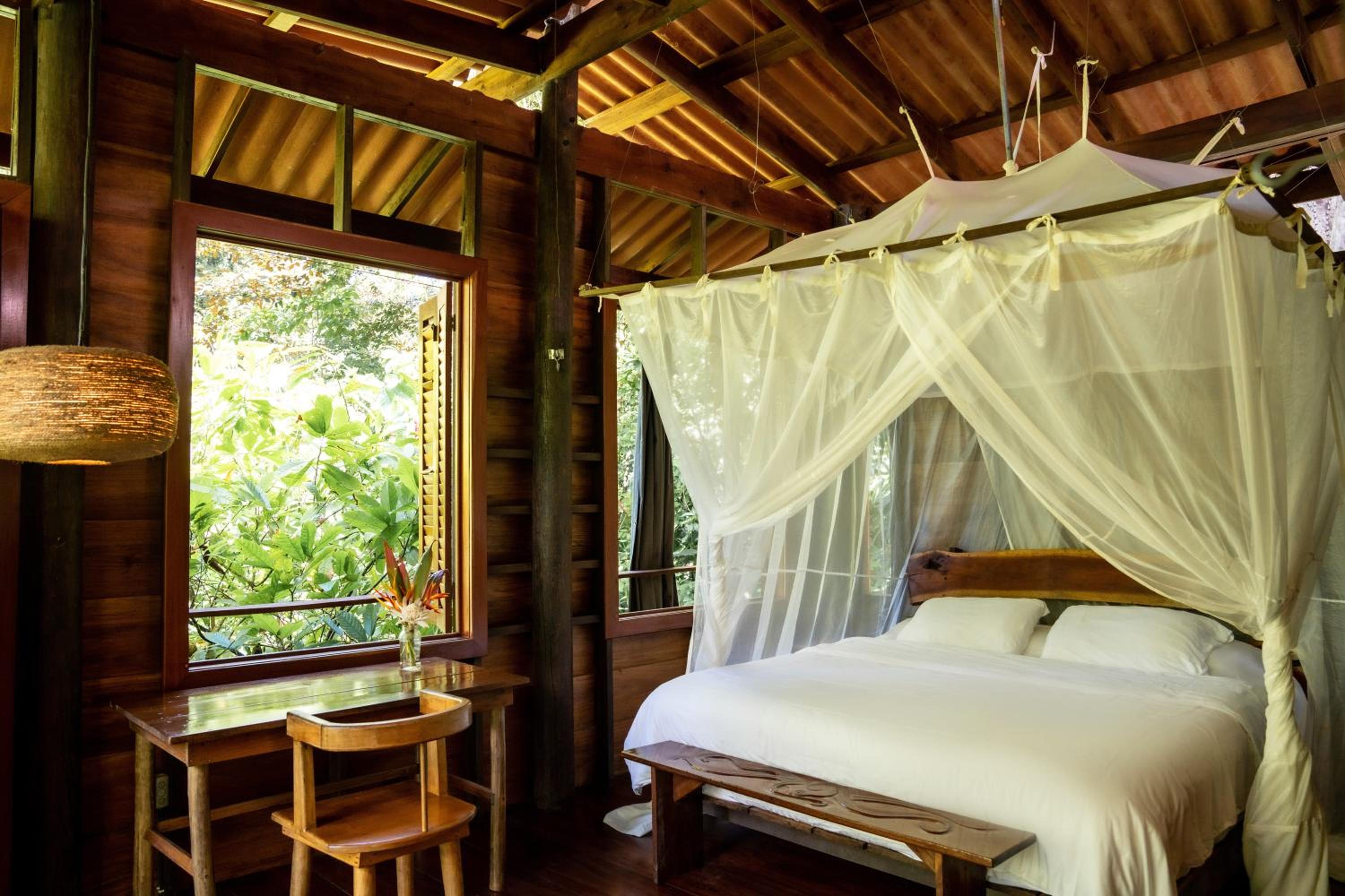 Cacao Farm House