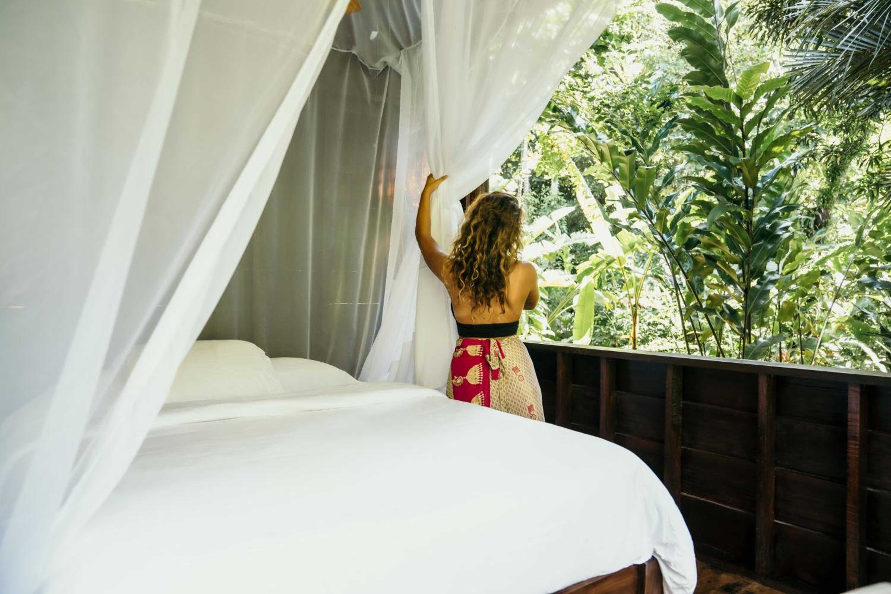 Cacao Farm Suite photo 2