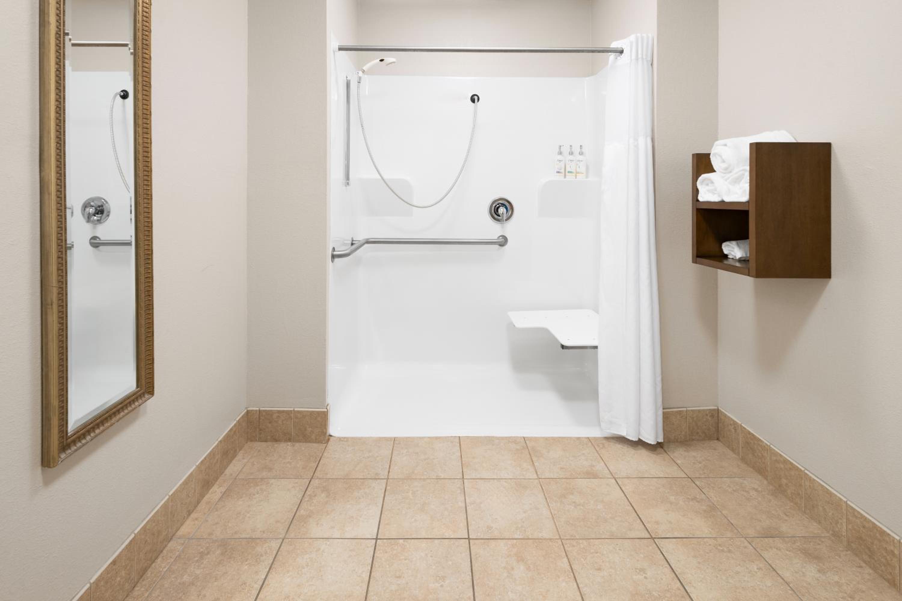 King Room with Roll-In Shower - Disability Access - Photo 2