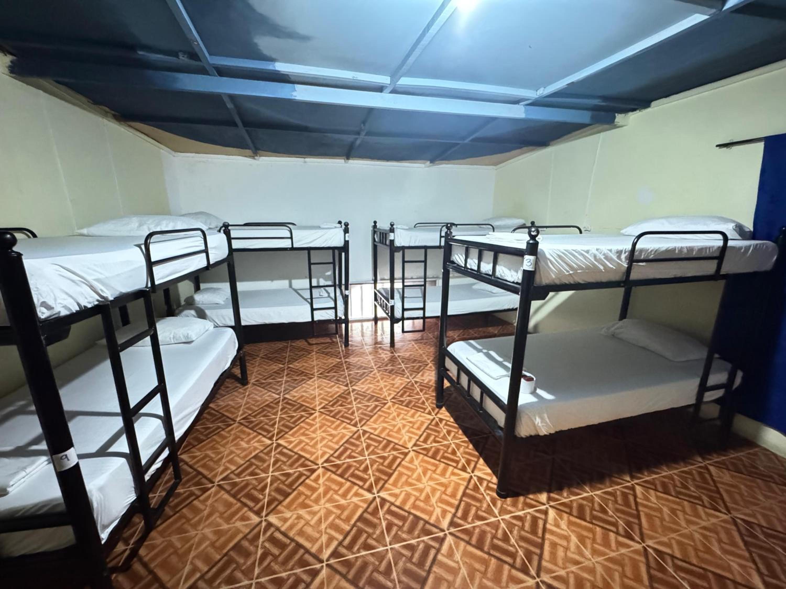 Bed in 8-Bed Mixed Dormitory Room