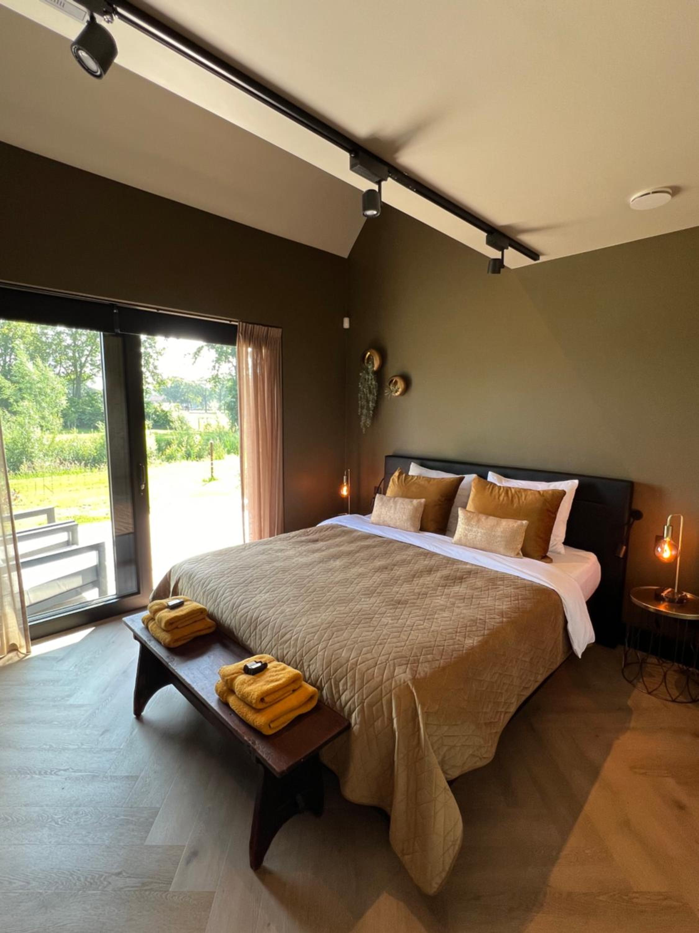 Deluxe King Suite