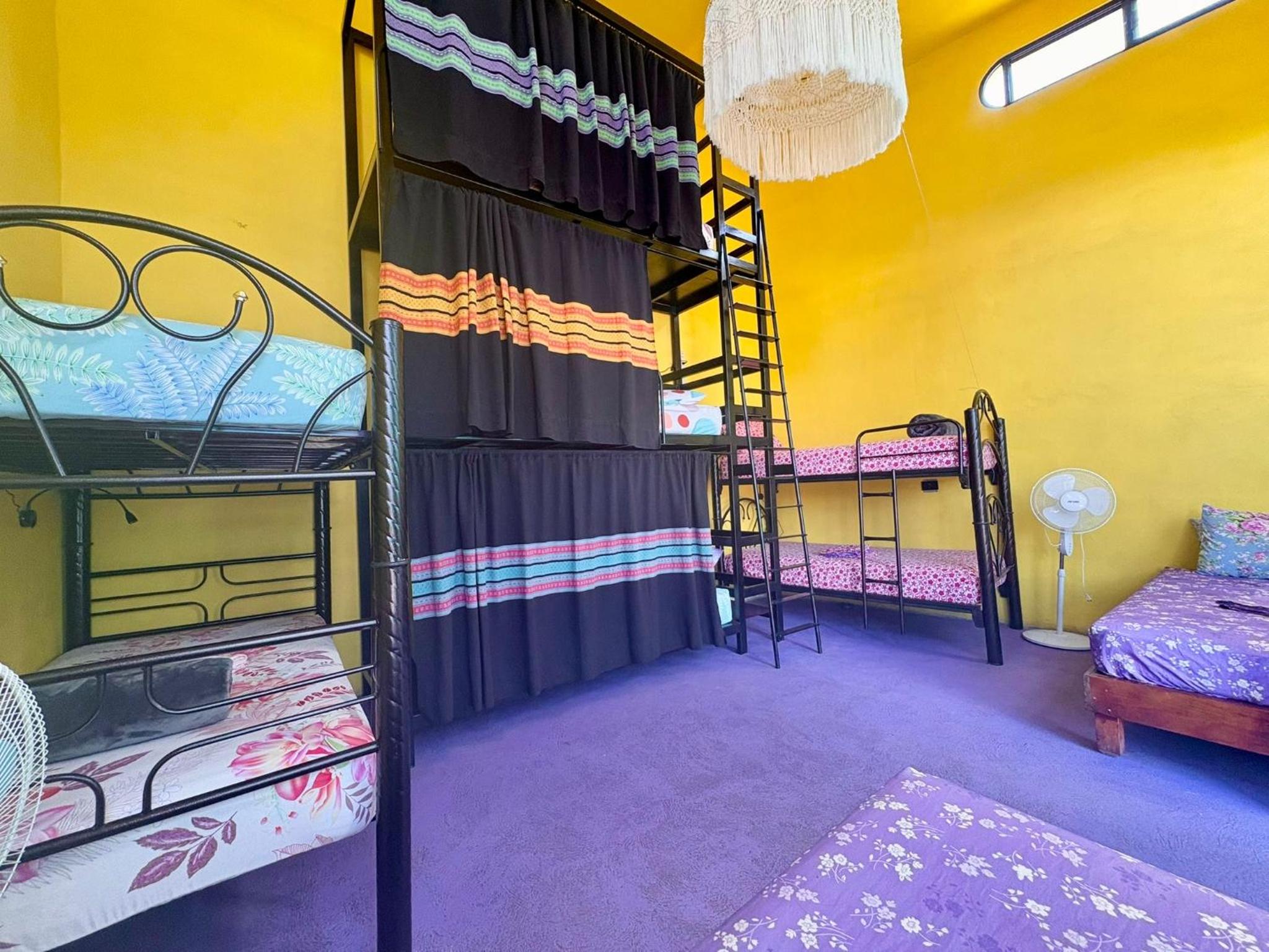 6-Bed Mixed Dormitory Room photo 3