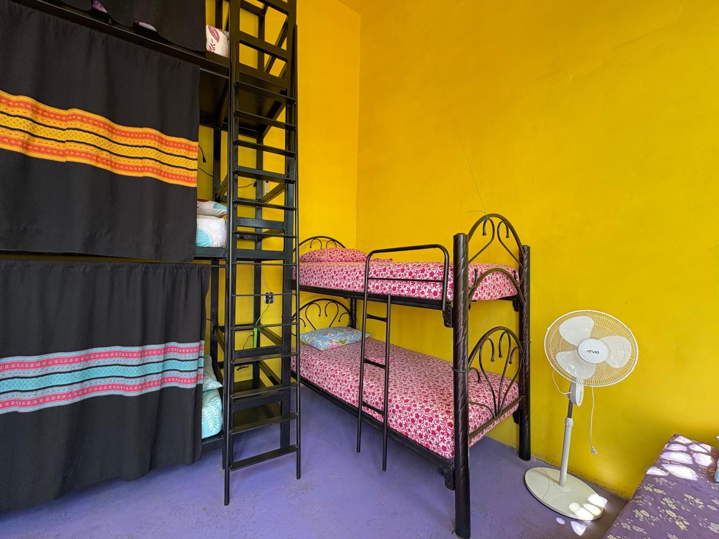 6-Bed Mixed Dormitory Room photo 1
