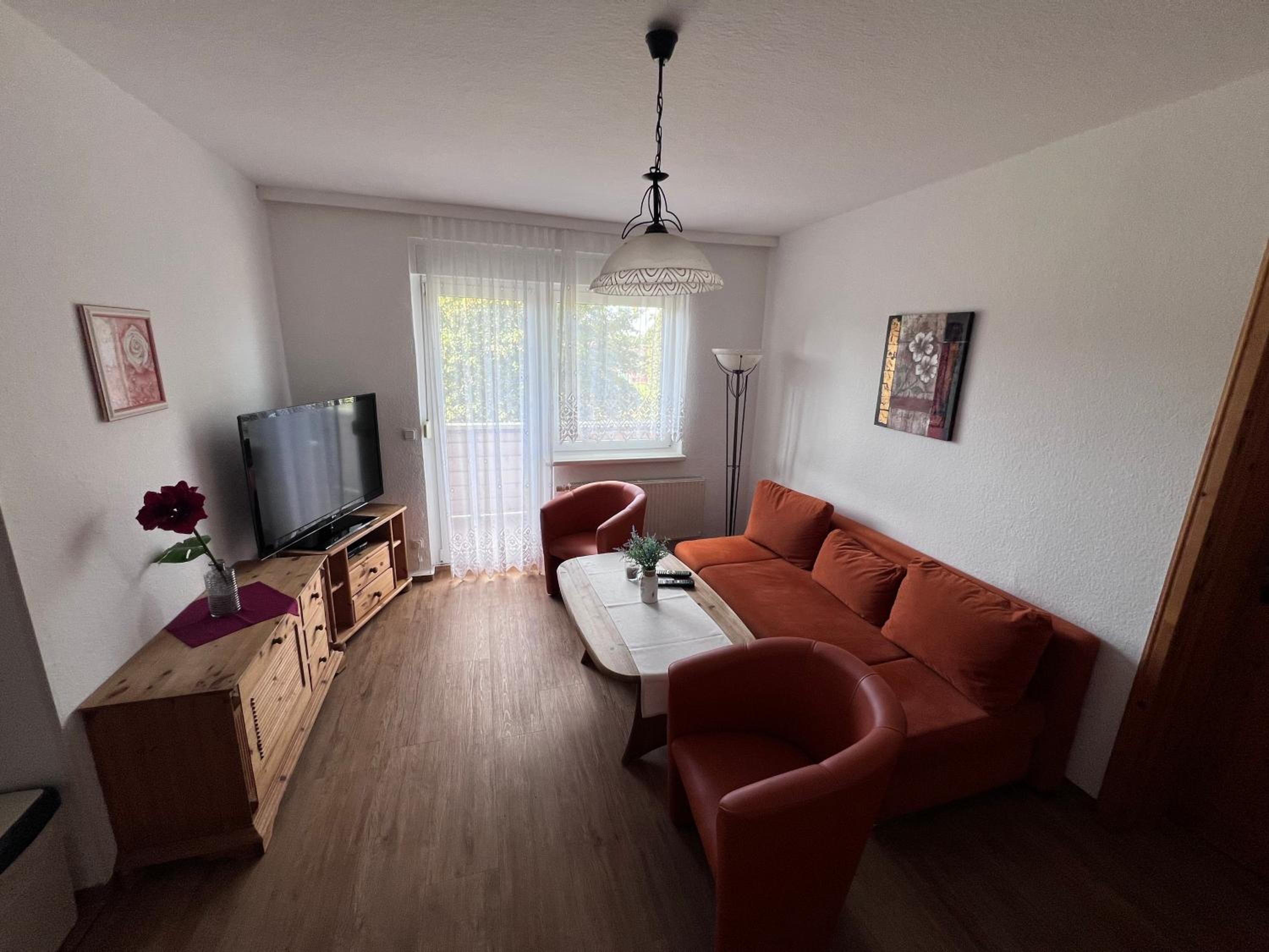 One-Bedroom Apartment with Sofa Bed