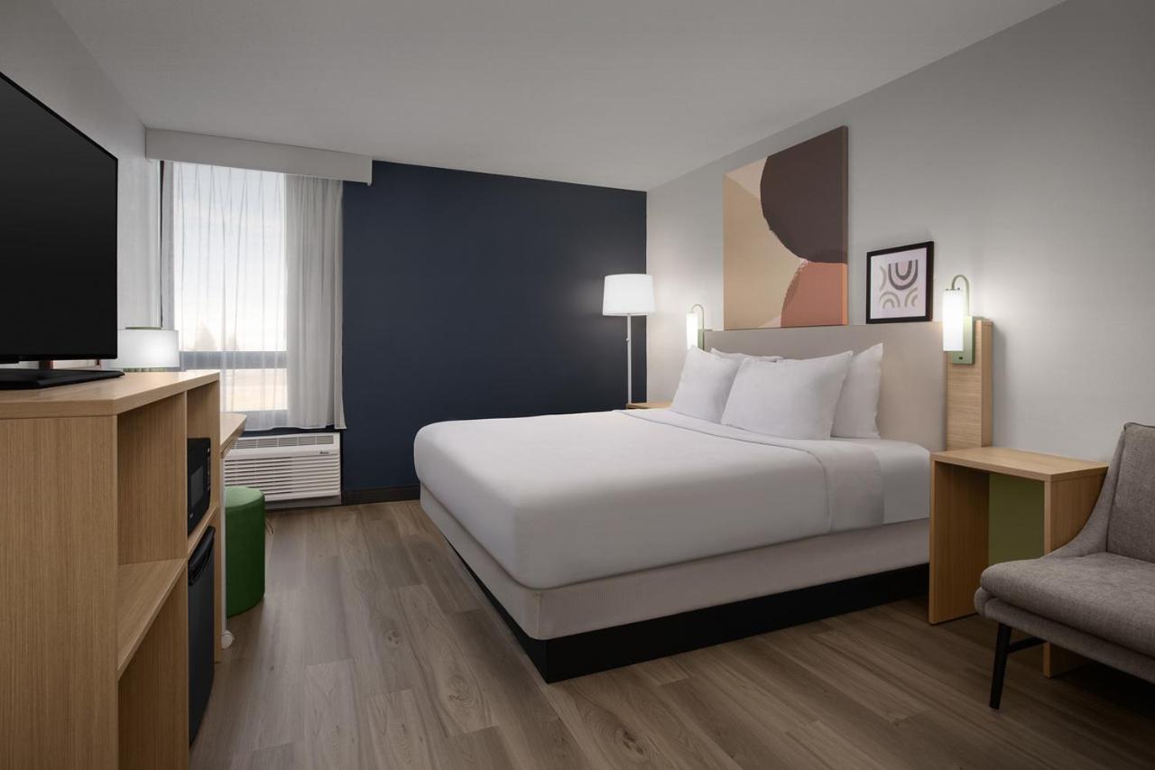 King Room photo 1