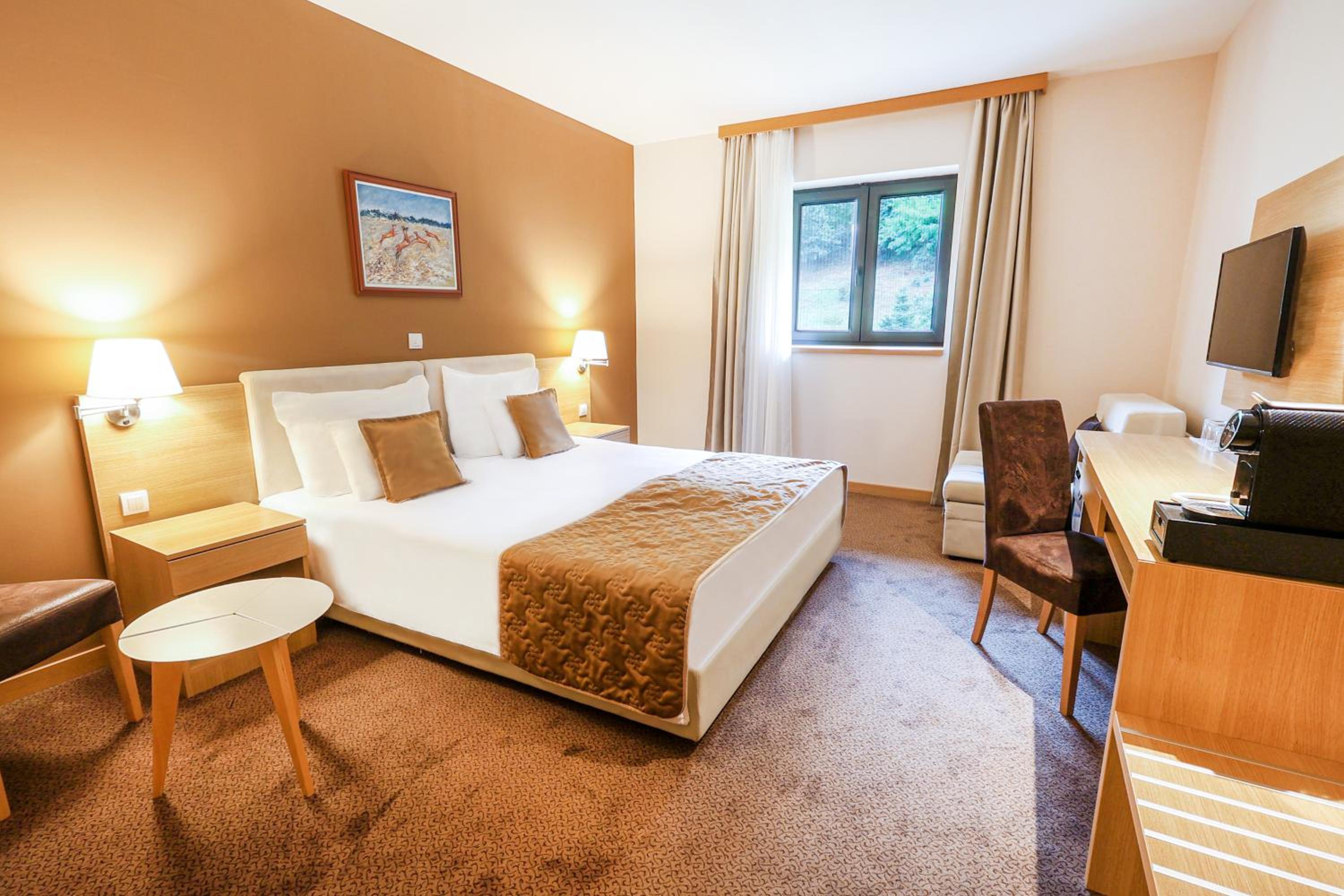 Superior Double or Twin Room photo 2
