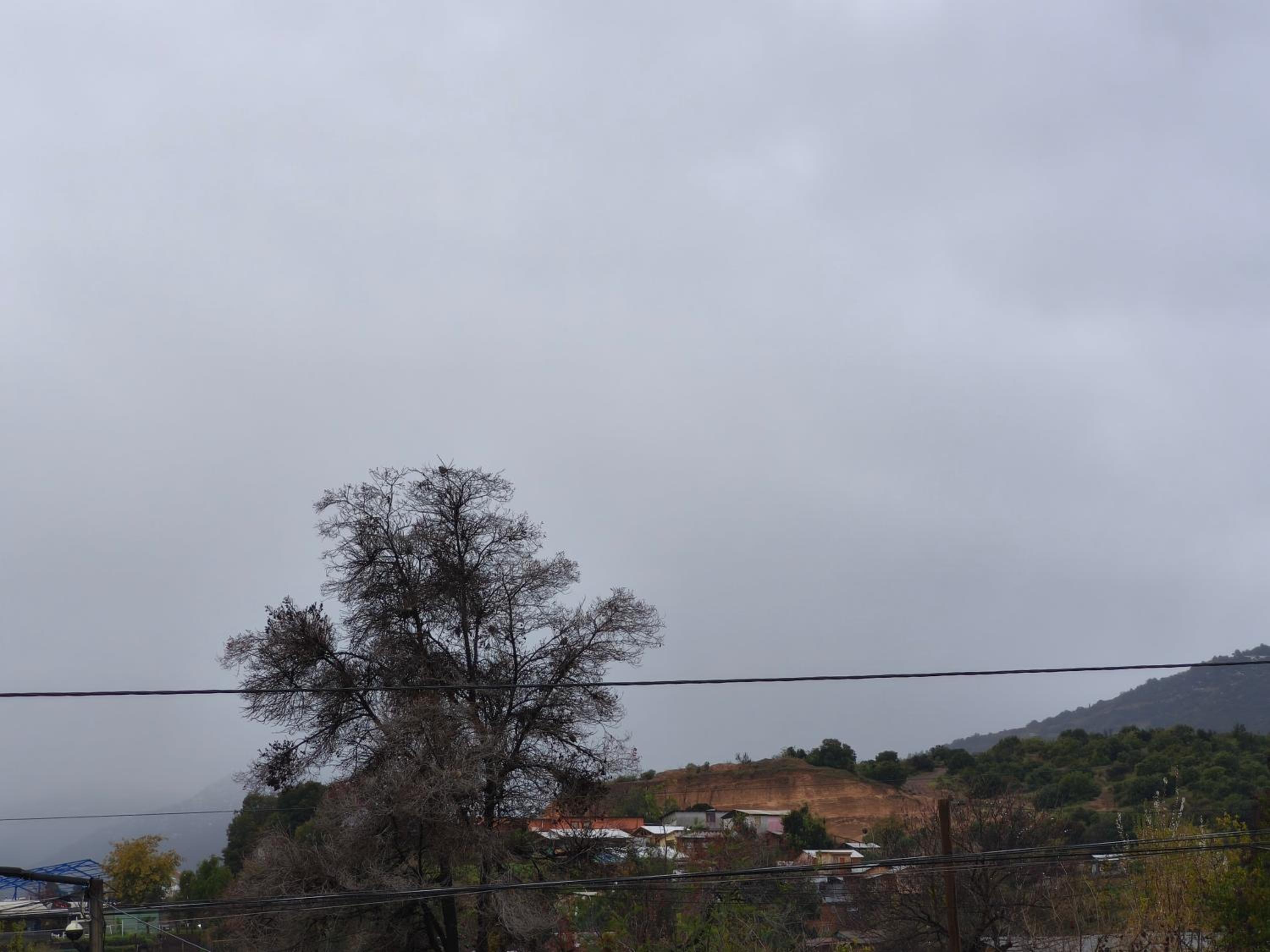 Three-Bedroom Deluxe Apartment