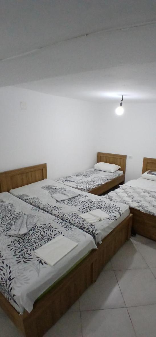 Mixed Dormitory Room