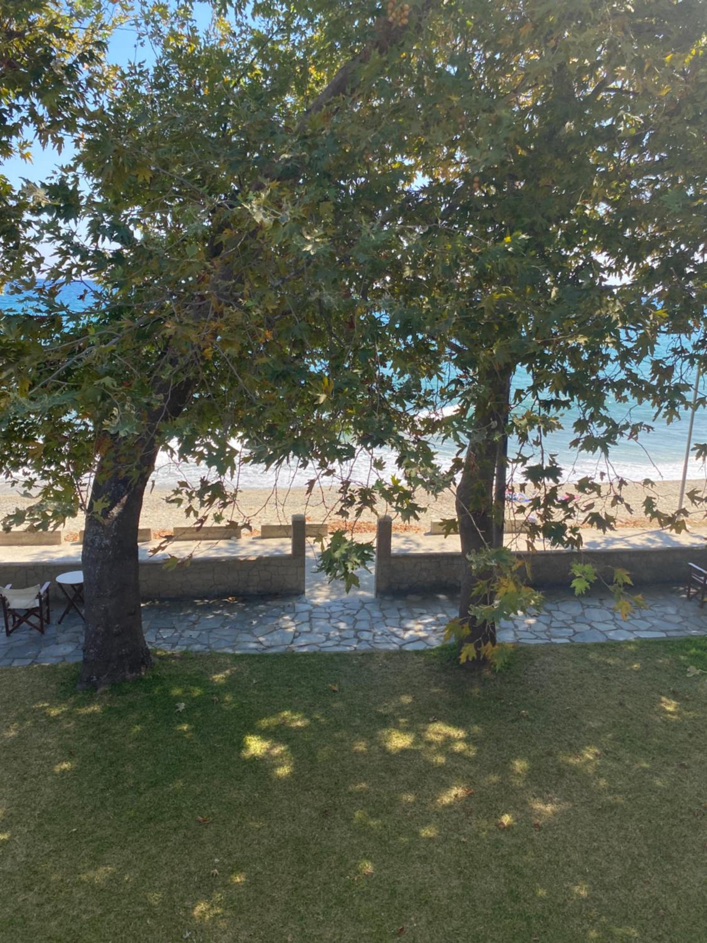 Apartment with View and Balcony photo 2