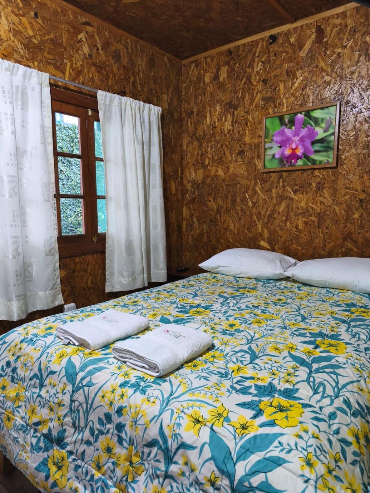 One-Bedroom House photo 2