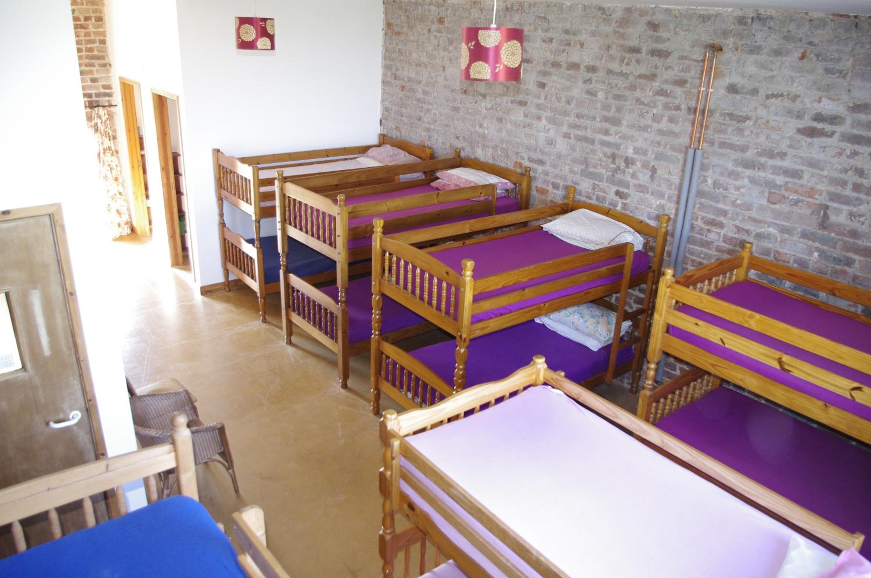 Bunk Bed in Mixed Dormitory Room photo 3