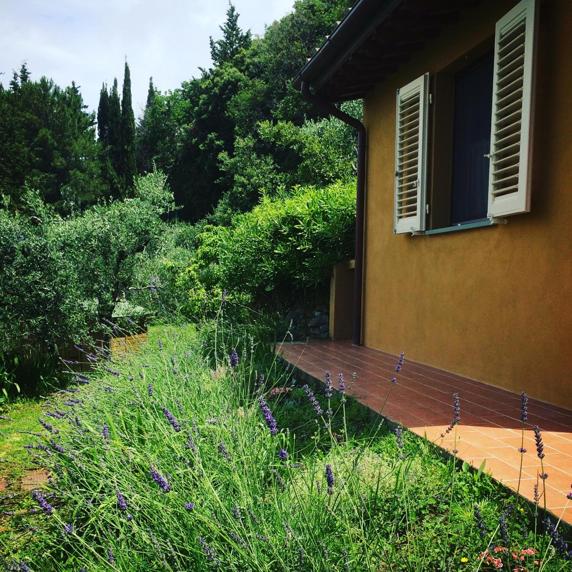 Double Room with Pool View photo 3