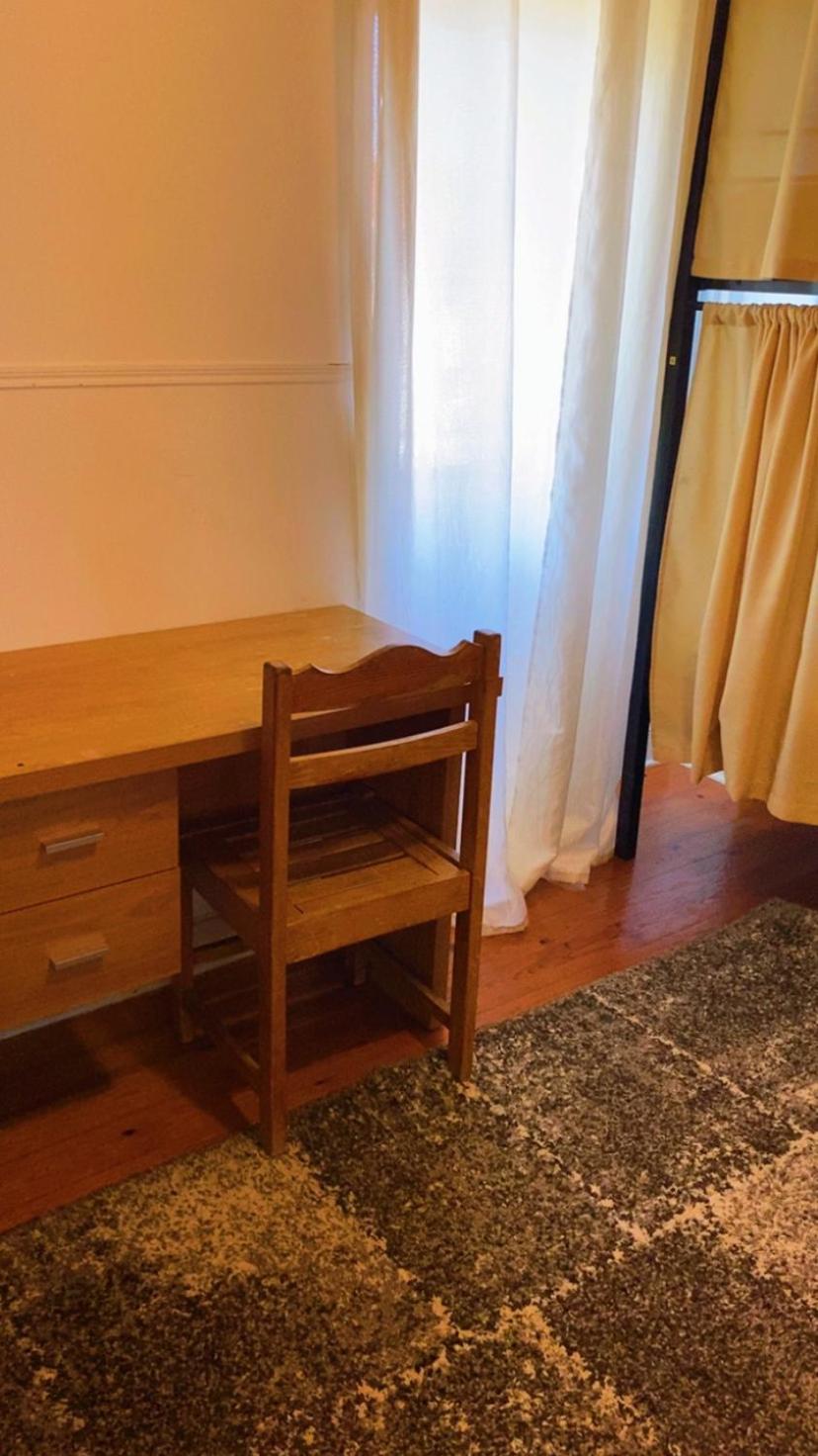 Single Bed in Mixed Dormitory Room photo 3