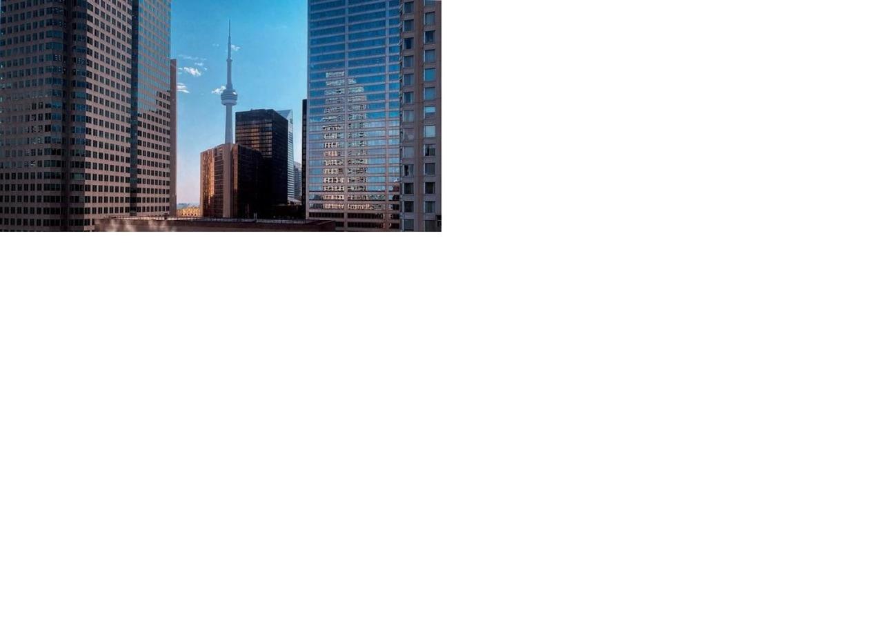 Junior Suite - CN Tower View - Photo 10