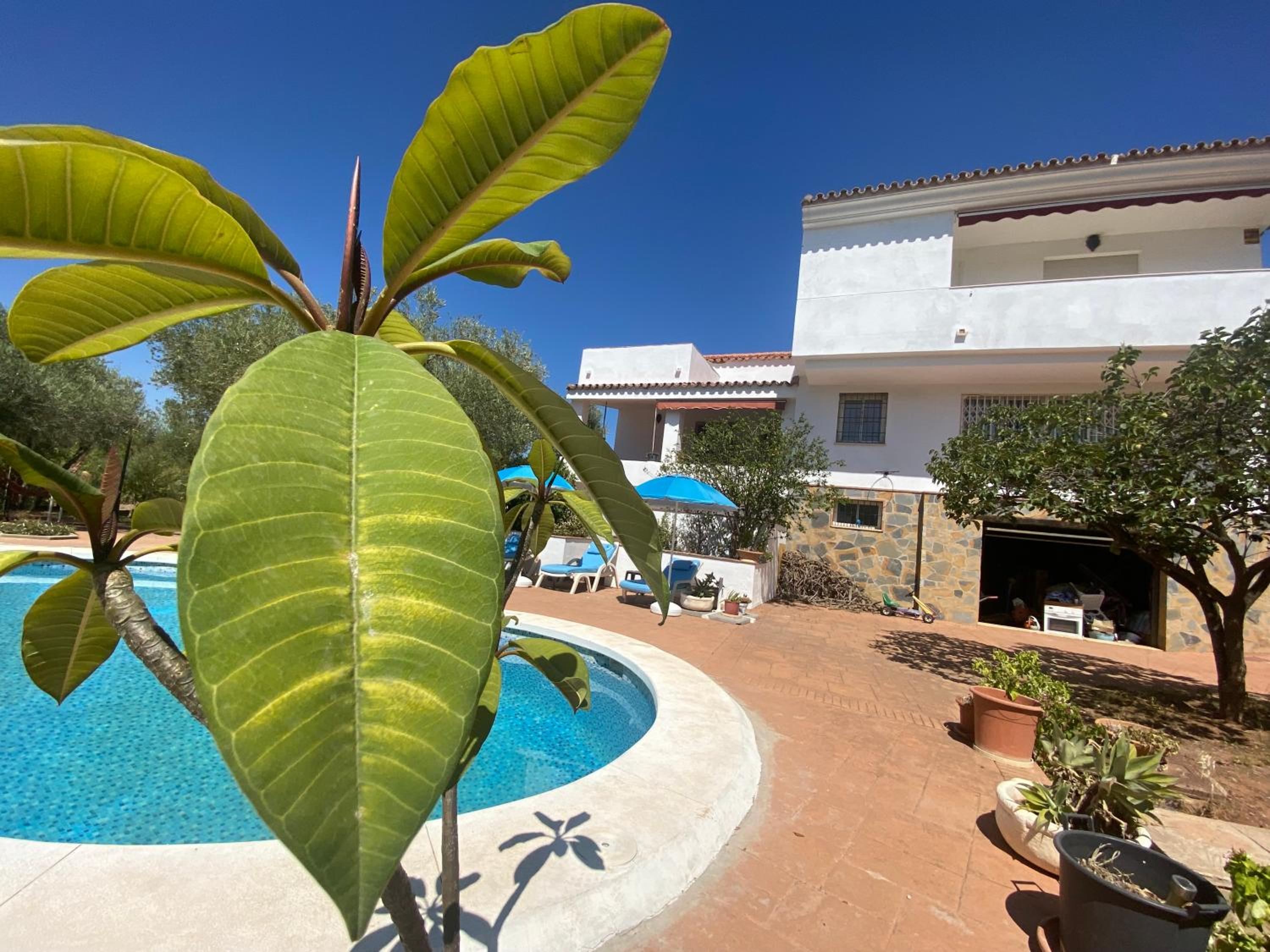 One-Bedroom Villa photo 2