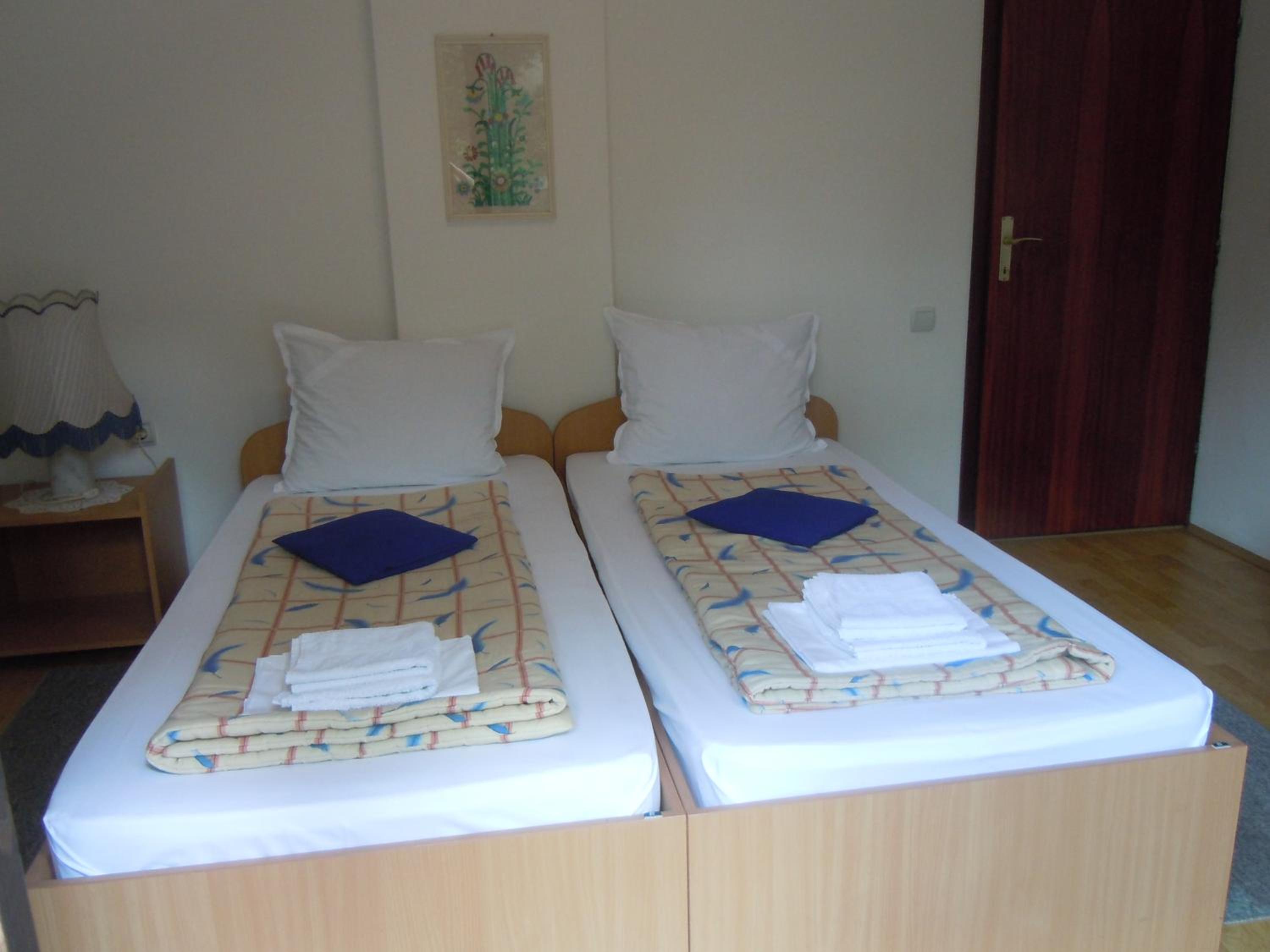 Twin Room with Terrace photo 3