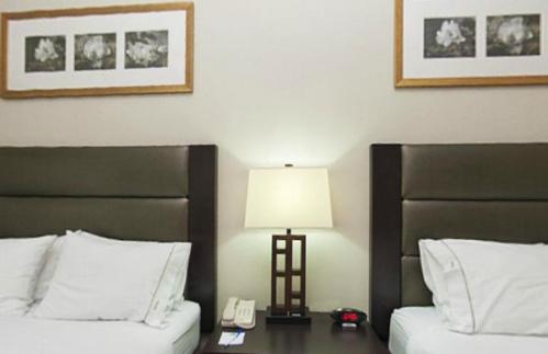 Holiday Inn Express Hotel & Suites Ottawa Airport by IHG, Zdjęcie 2