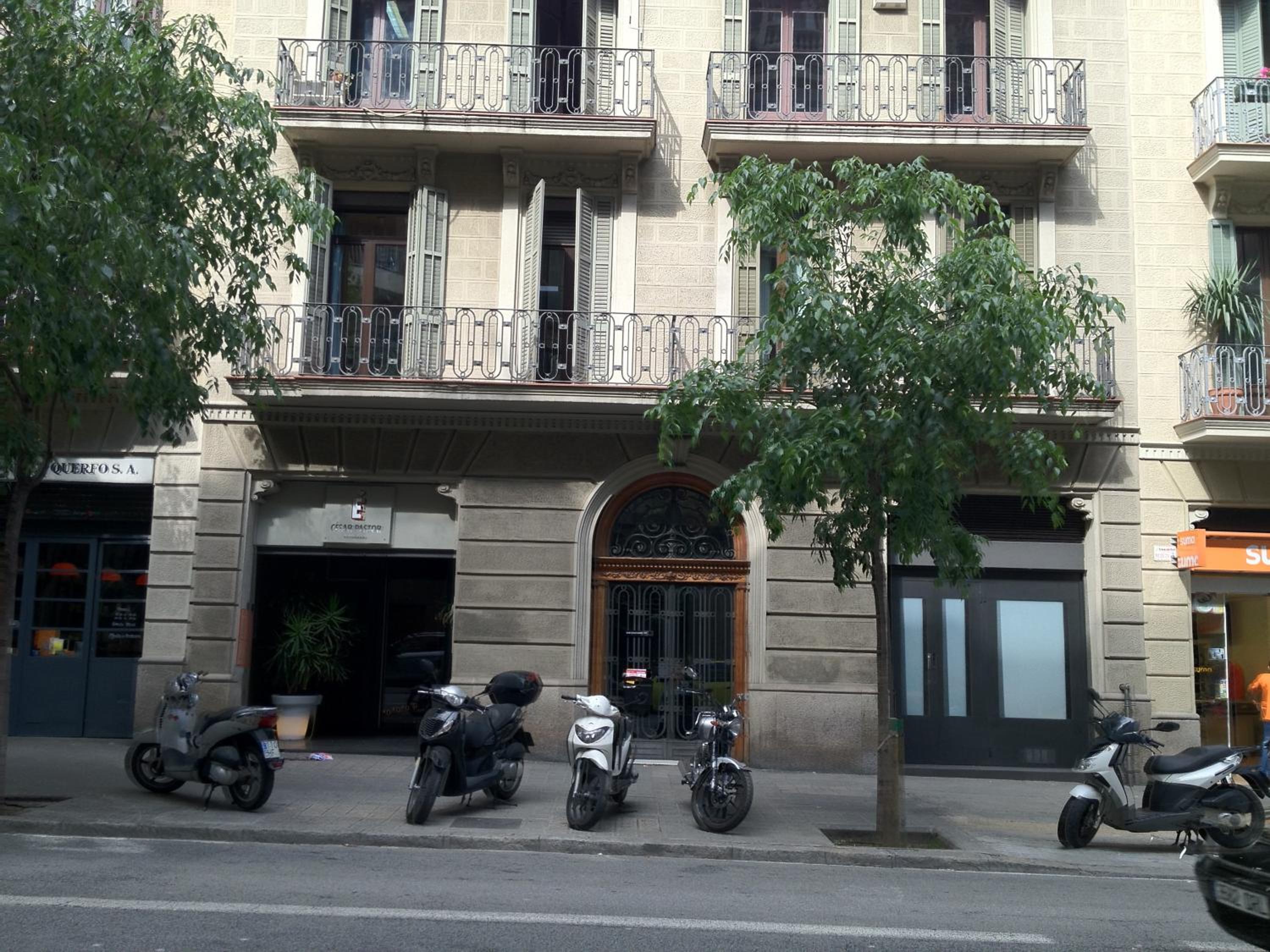 Four-Bedroom Apartment photo 3