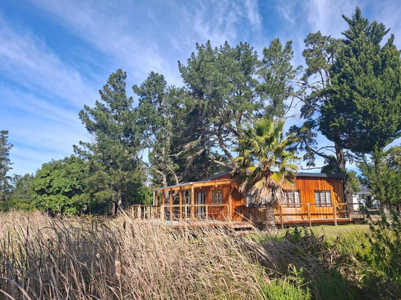 Family Bungalow photo 2