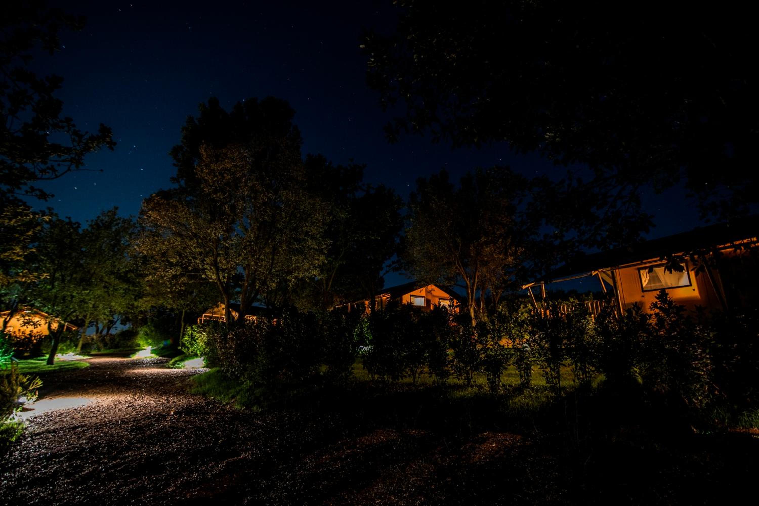 Tent - Cabernet photo 2