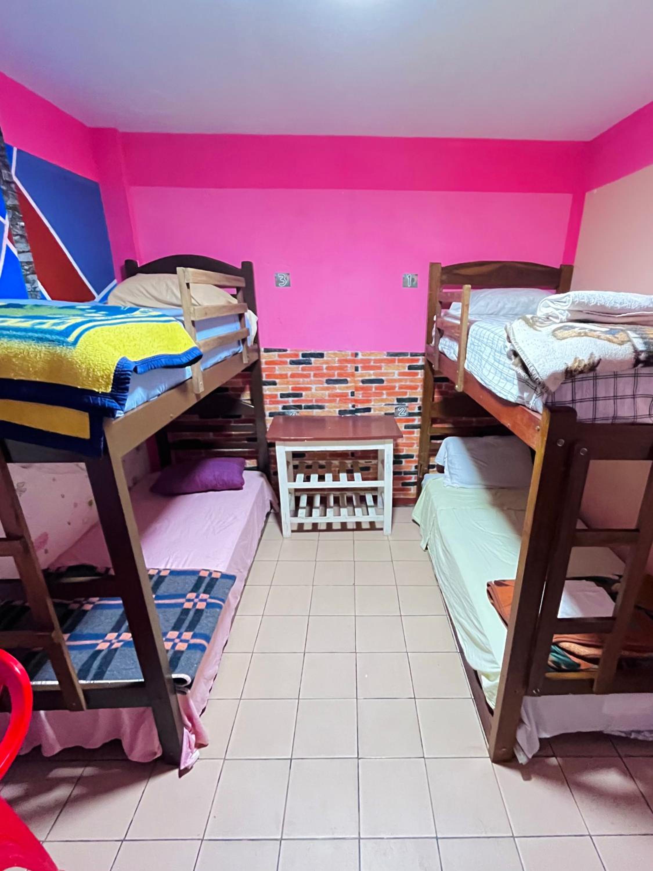 Bed in 4-Bed Mixed Dormitory Room