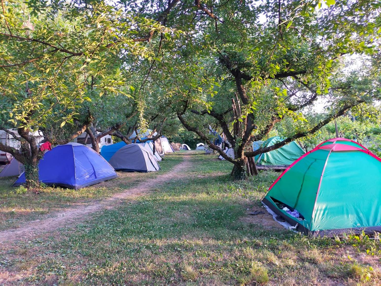 Tent - Photo 7
