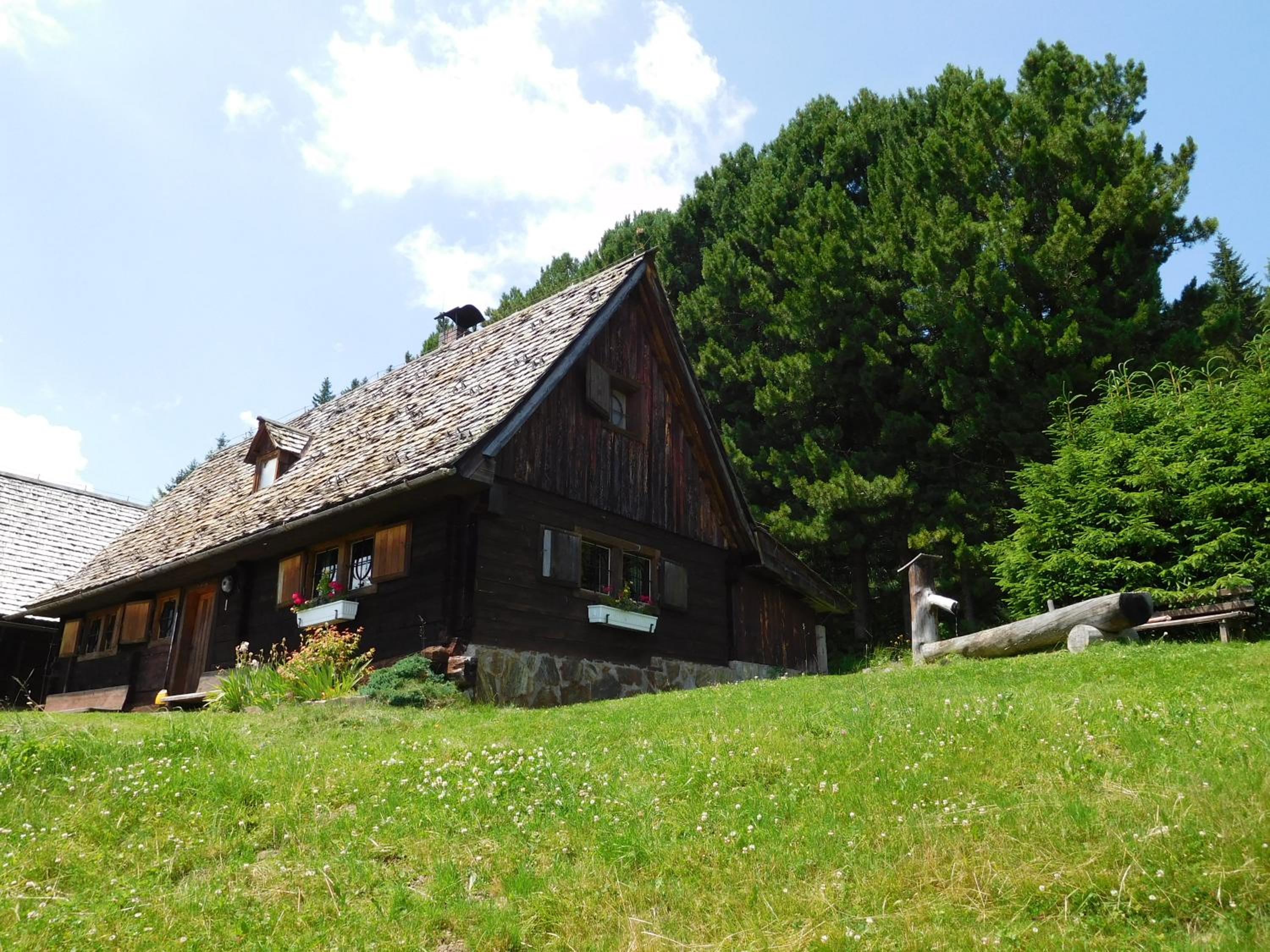 Three-Bedroom Chalet photo 2