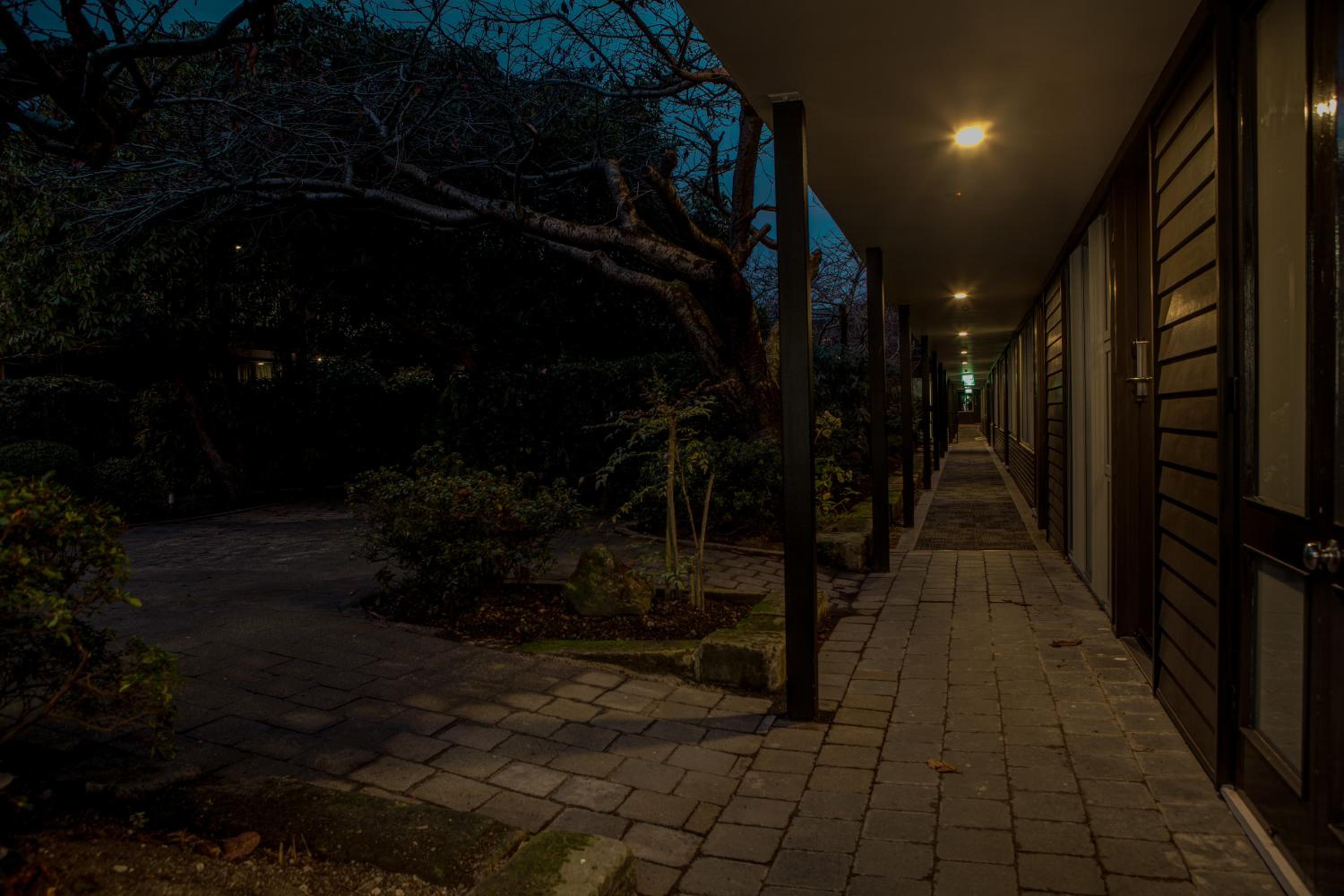 Studio with Garden View - Photo 5