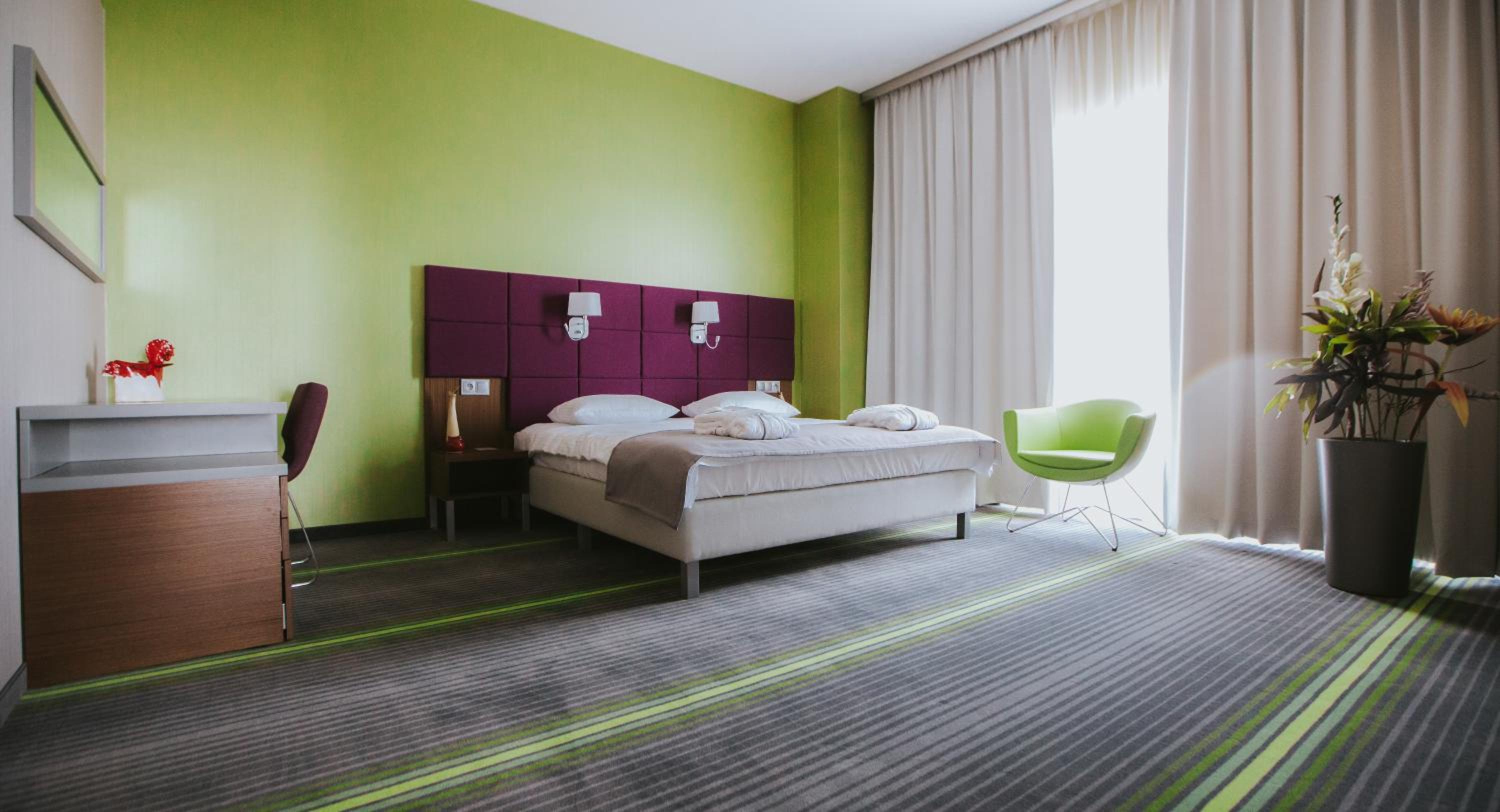 Suite - Photo 2