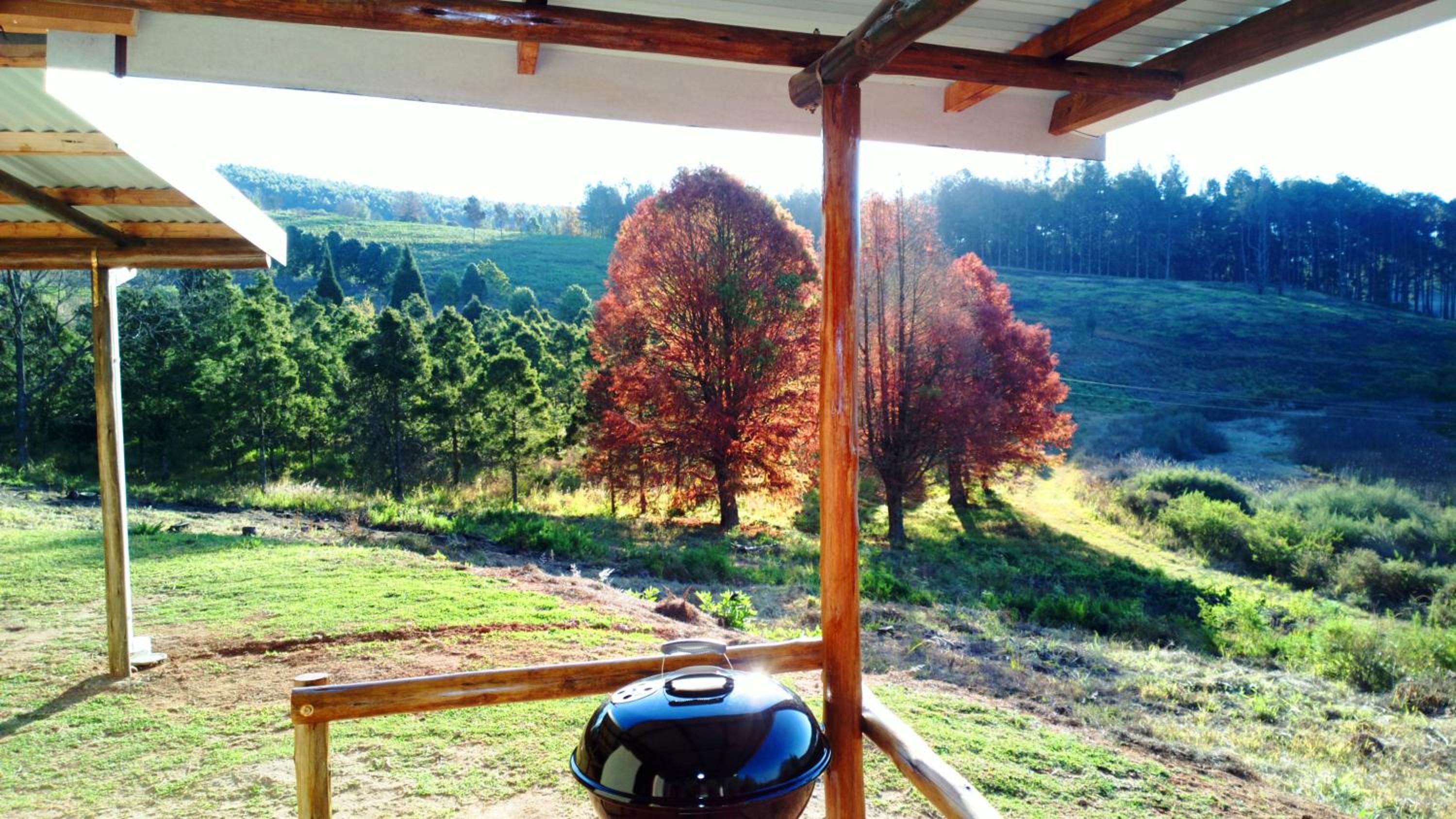 Honeymoon Cabin - Photo 2
