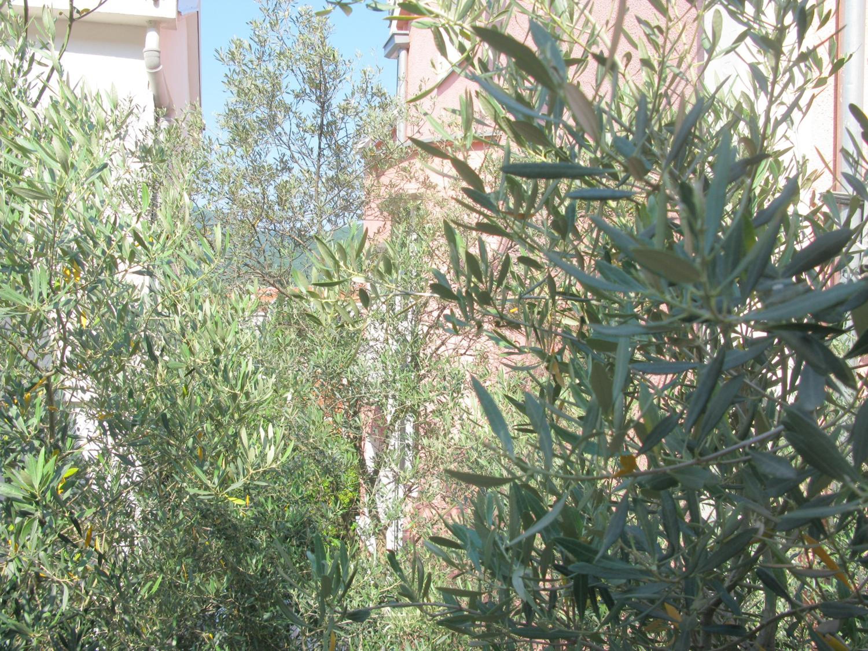 Economy Double Room with Balcony and Garden View - Photo 11
