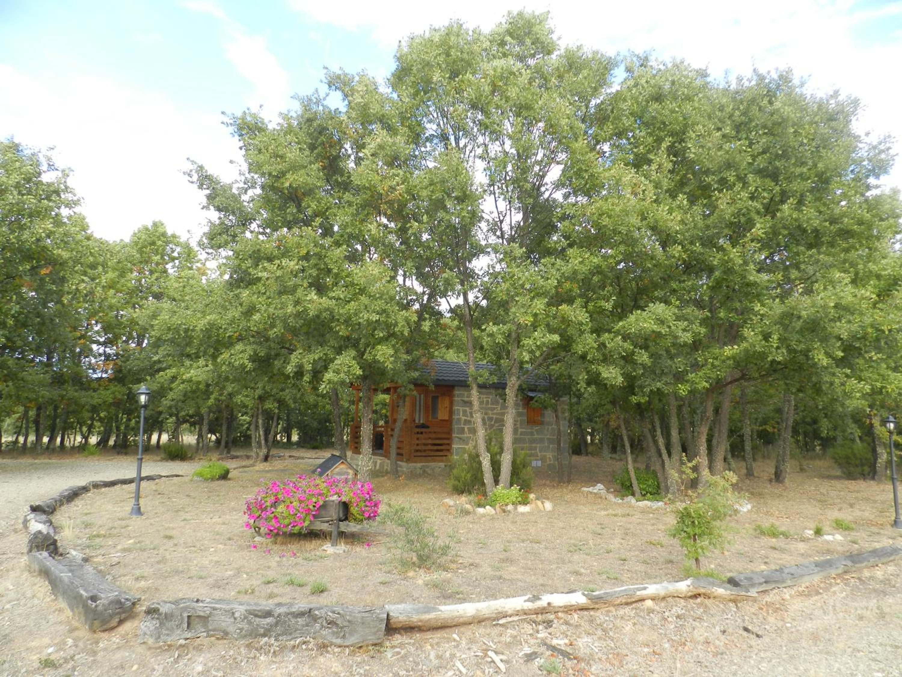 One-Bedroom Bungalow photo 2