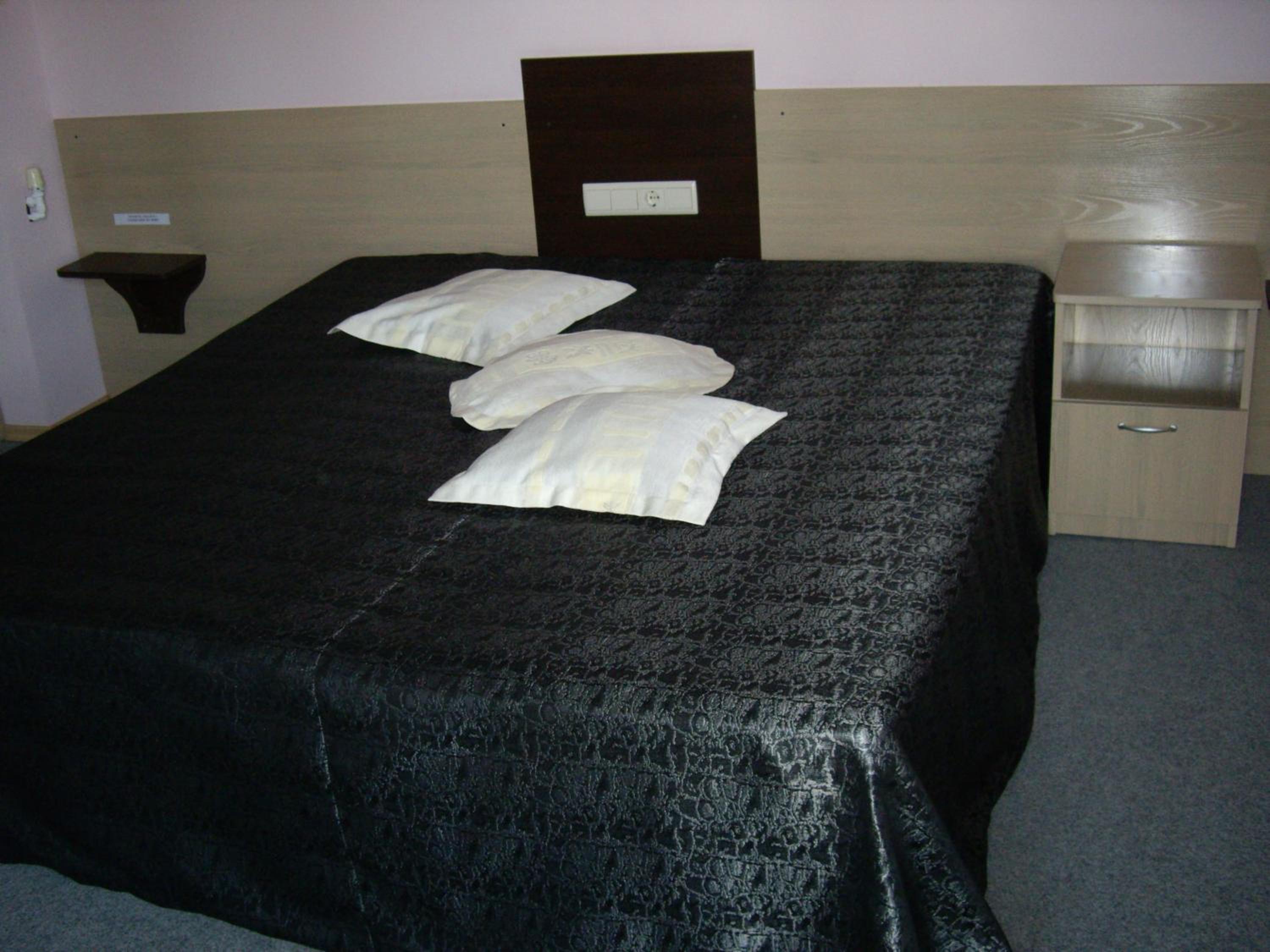Studio with Sofa Bed photo 1