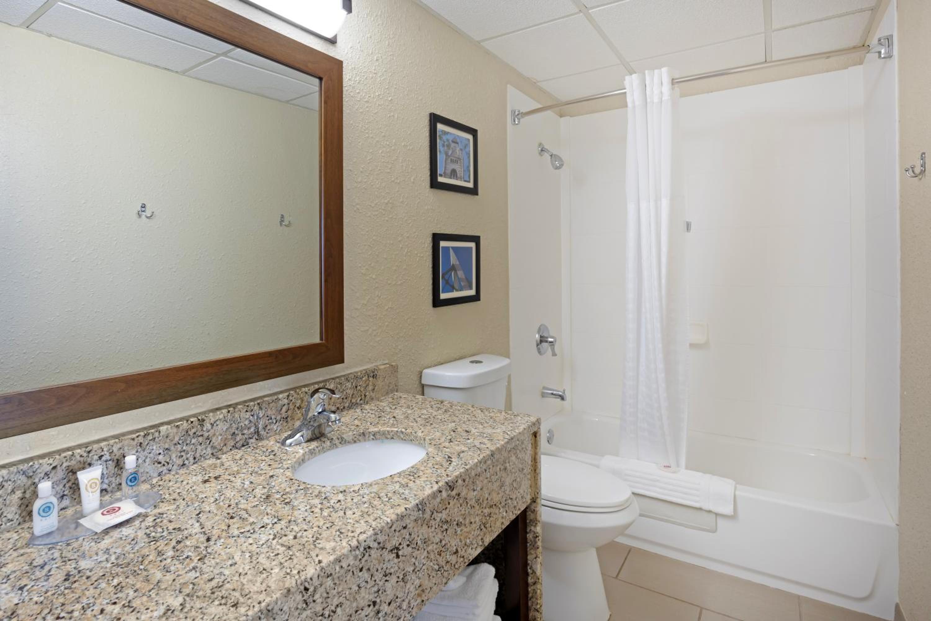 King Suite - Accessible/Non-Smoking - Photo 5