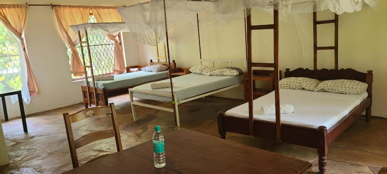 Budget Triple Room photo 1