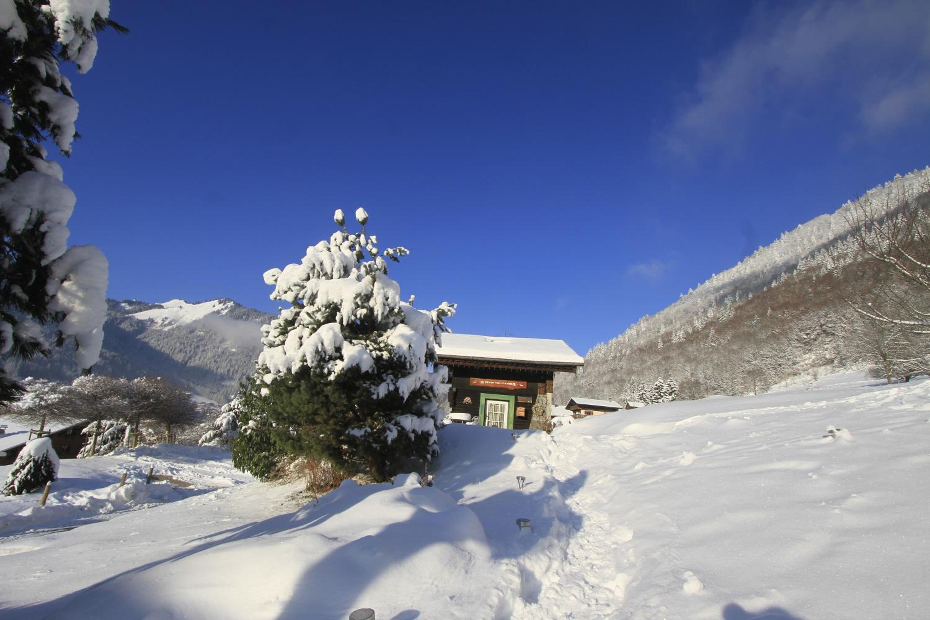 Small Chalet - Photo 49