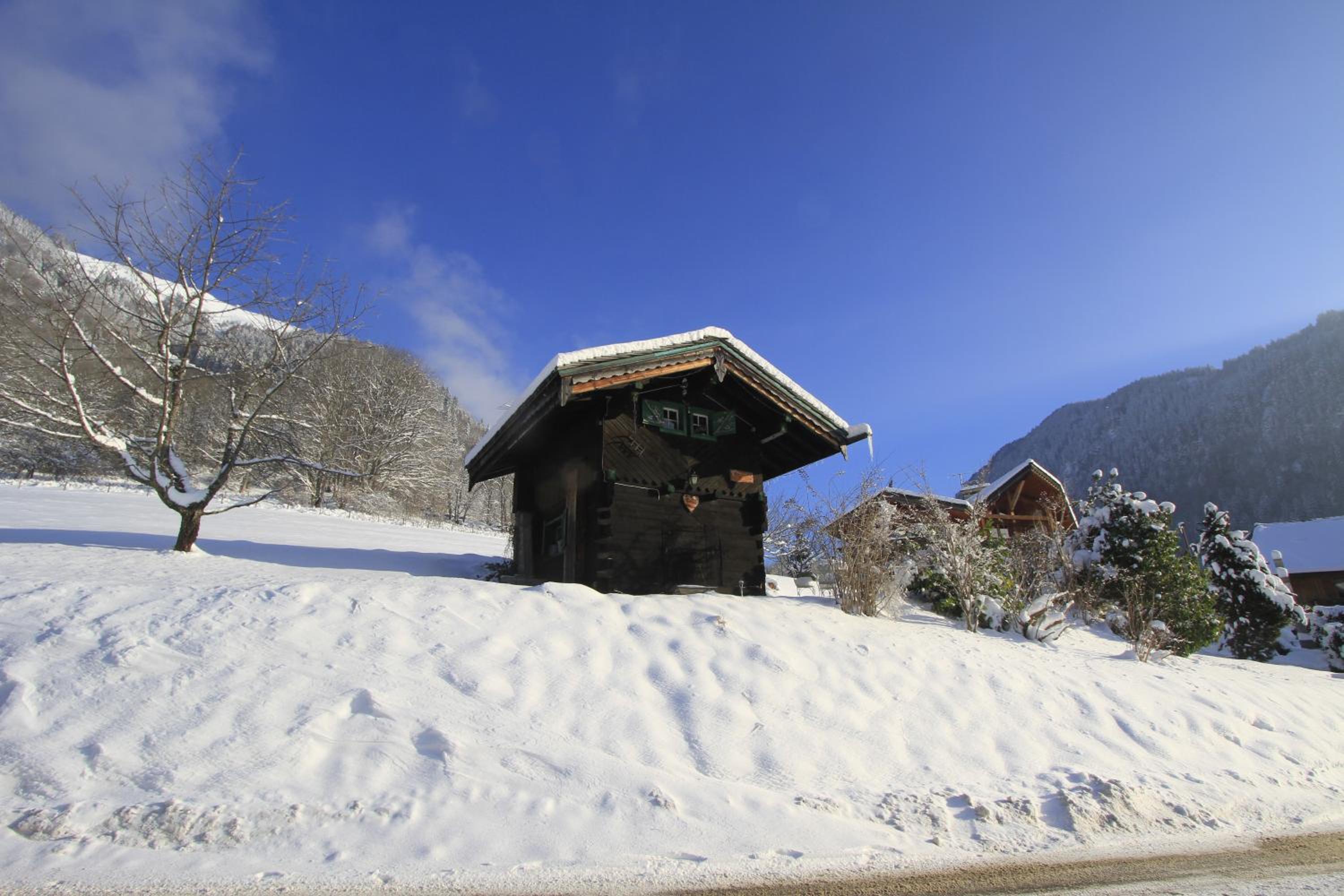 Small Chalet - Photo 50