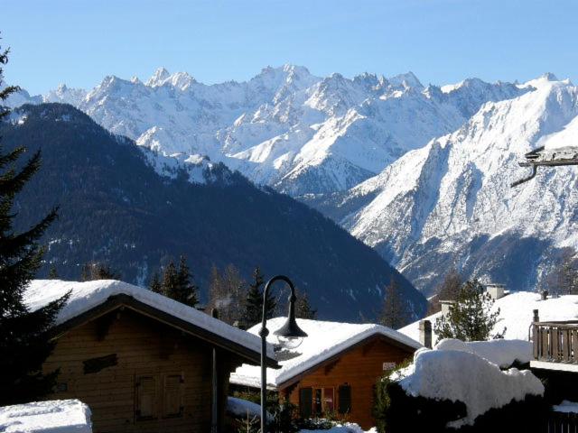 Studio with Mountain View photo 2