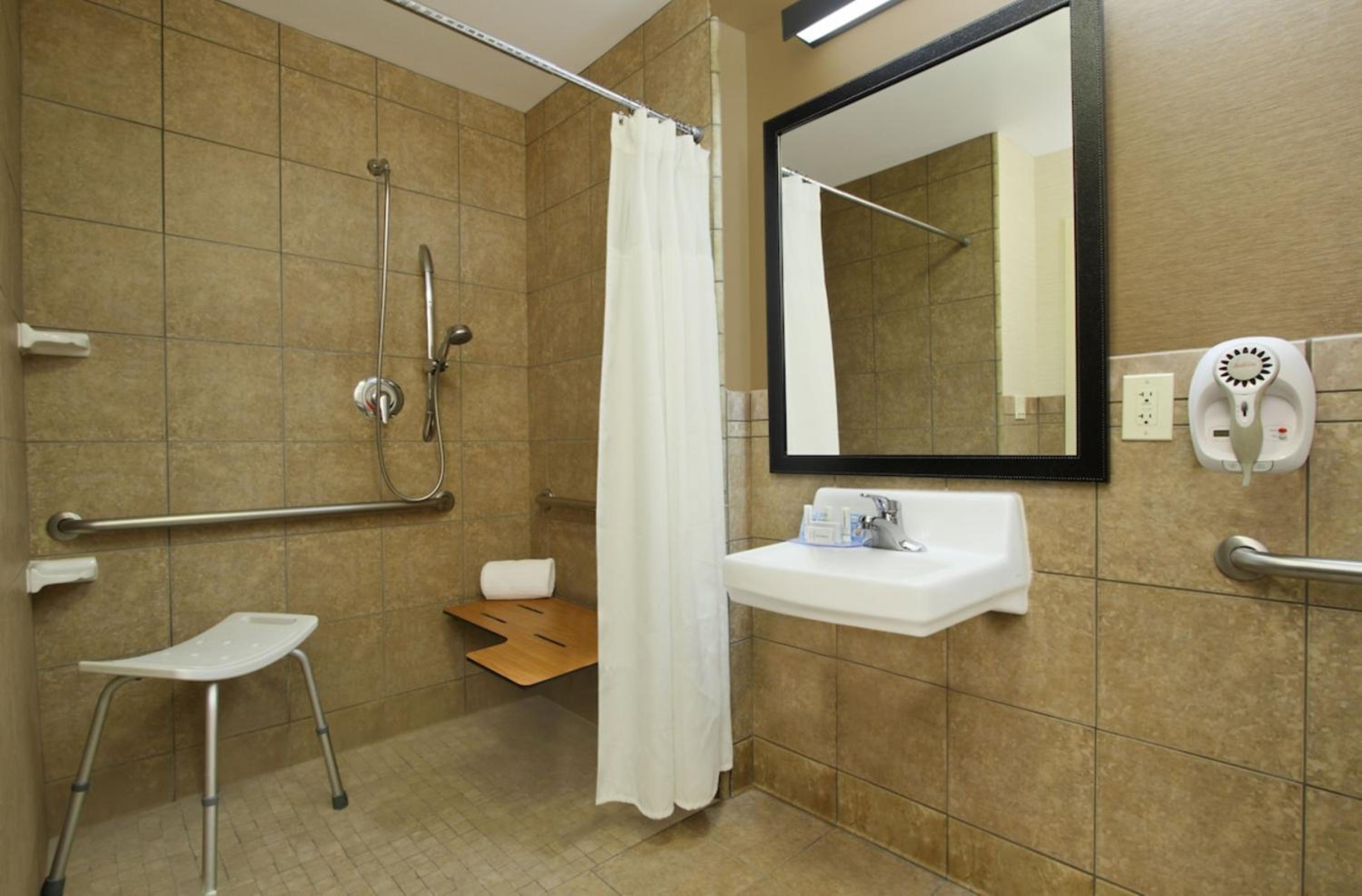 Standard King Room with Sofa Bed and Roll-In Shower - Mobility Accessible photo 1