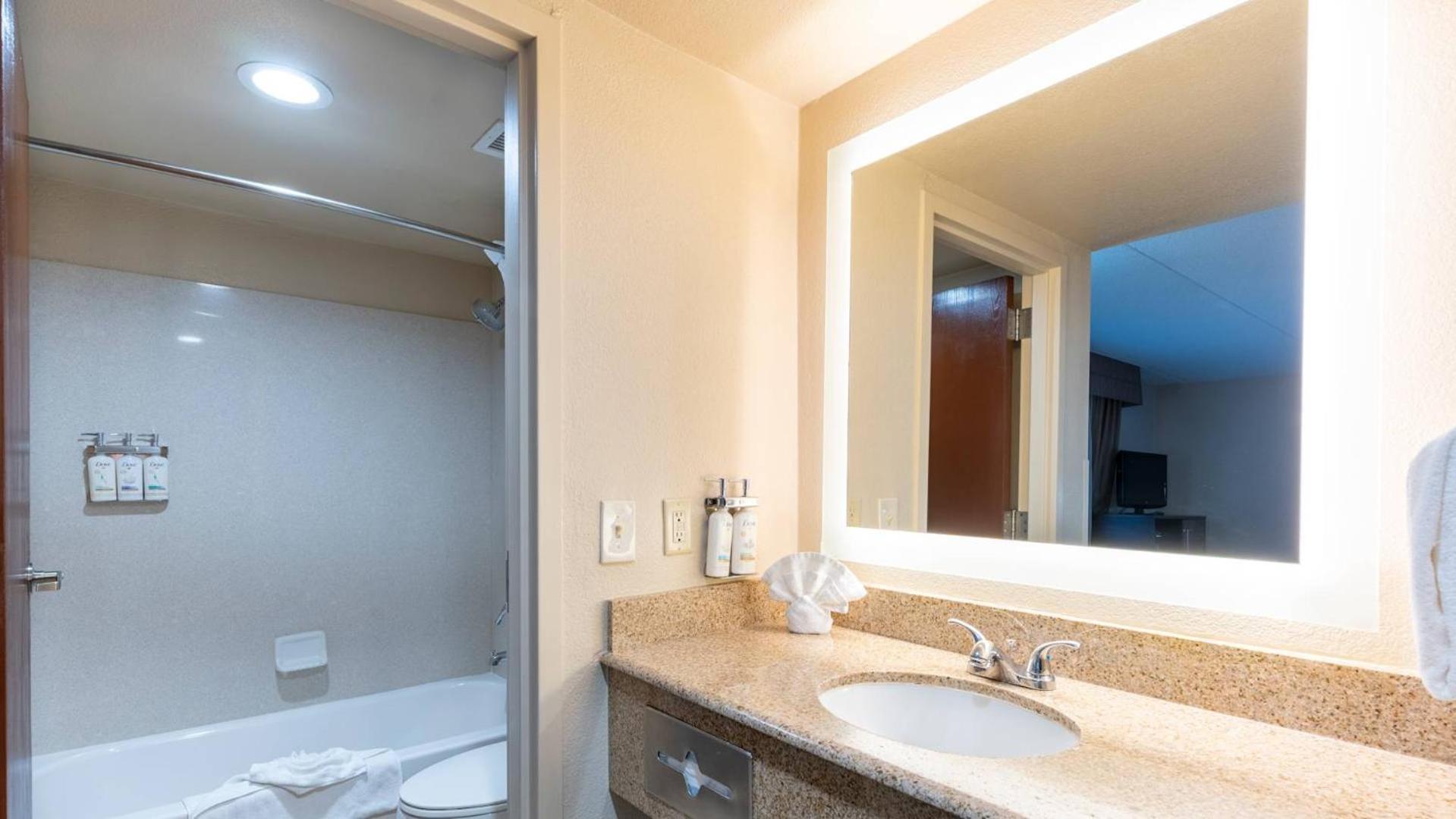 Standard Suite - Photo 2