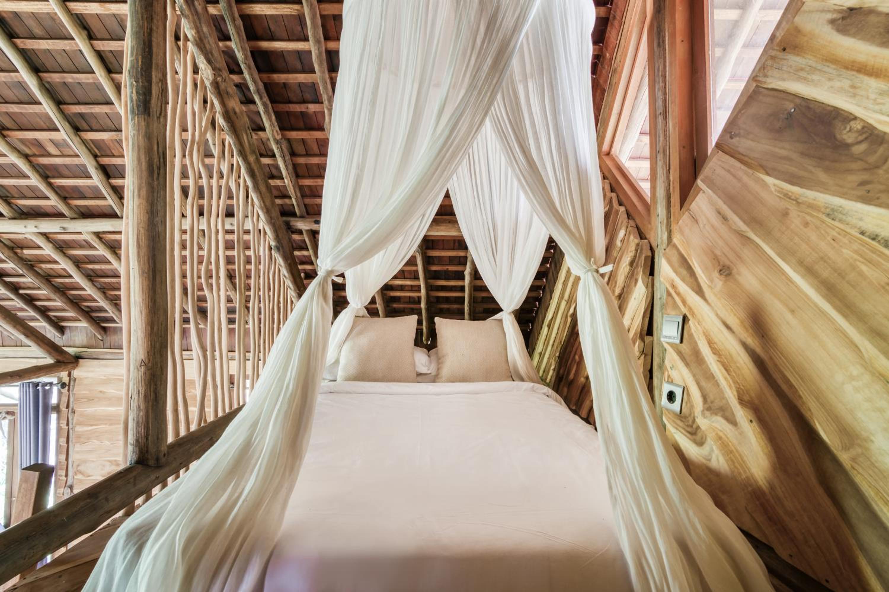 Terra House - Photo 6