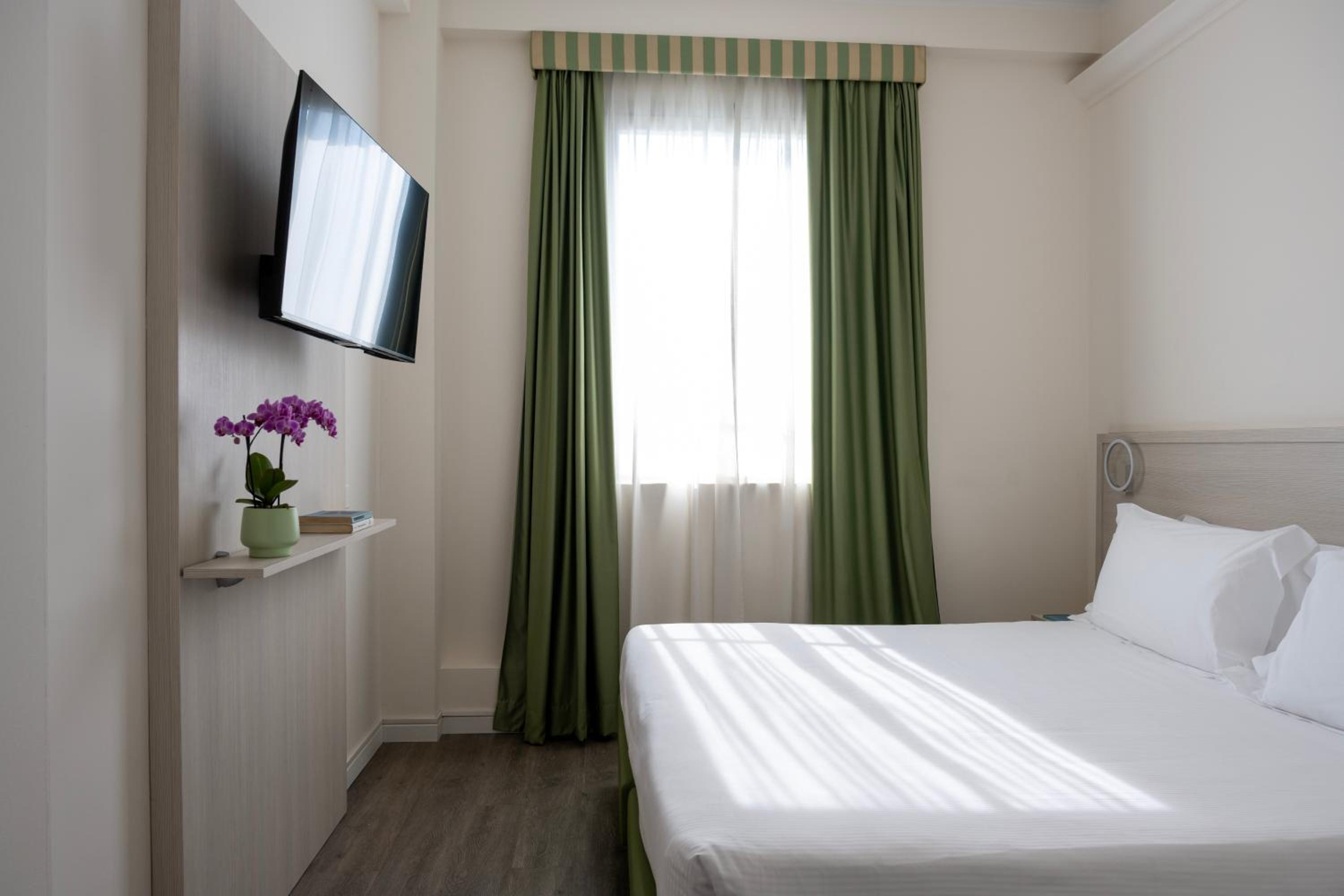 Deluxe Double or Twin Room photo 1