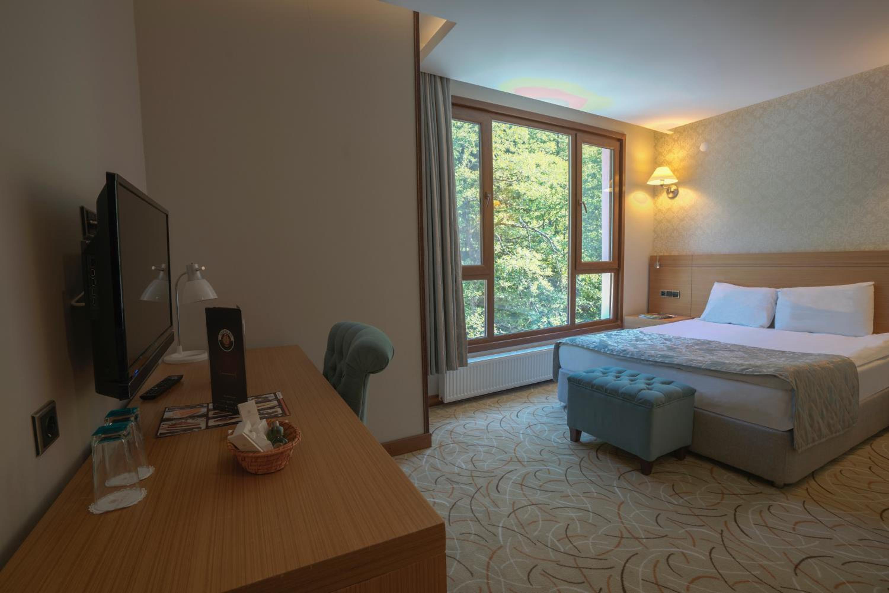 Deluxe Double or Twin Room with River View photo 2
