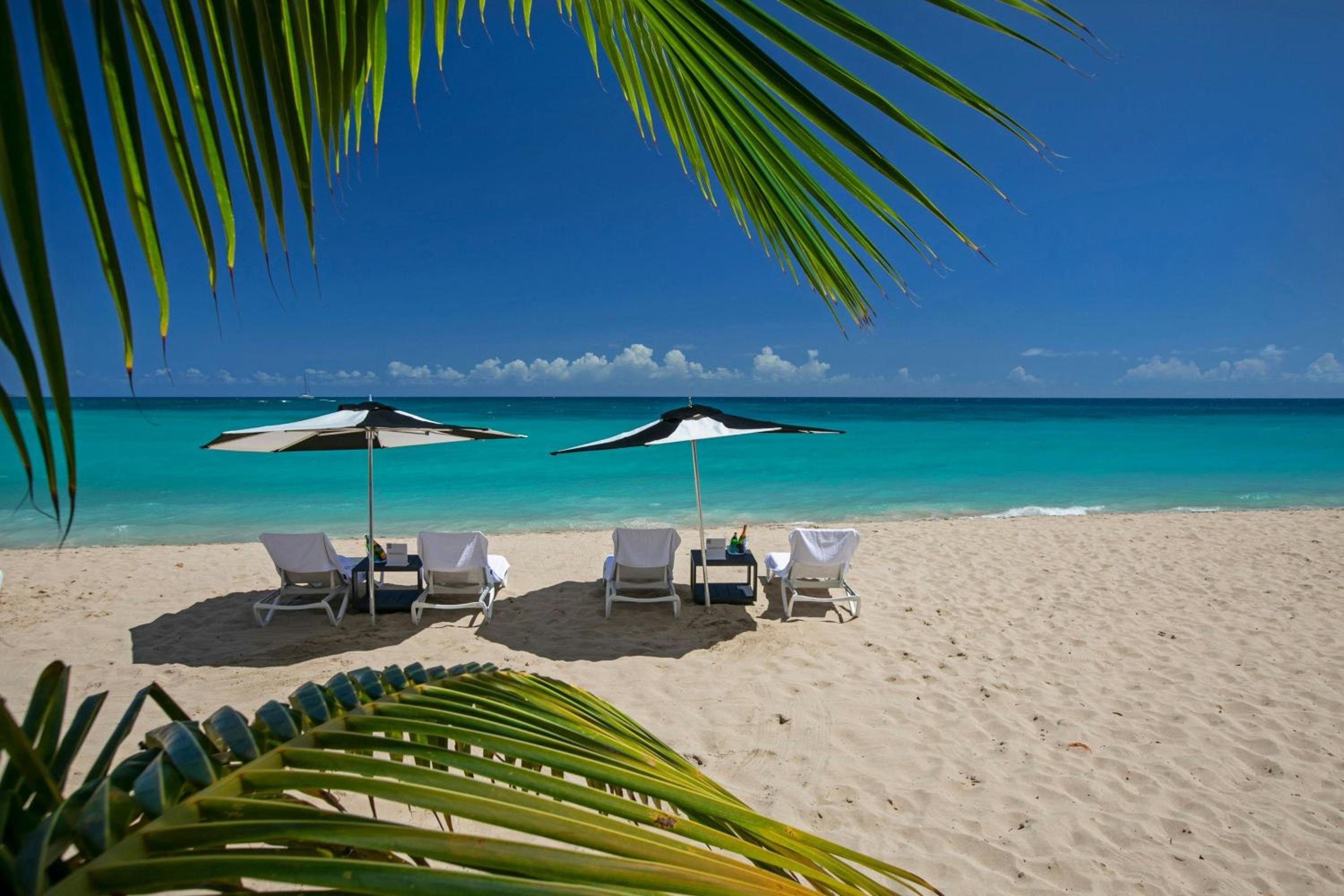 1 Bedroom Suite, 1 King, Sofa bed, Ocean view, Balcony (Mobility Accessible w/ Roll-in Shower)
