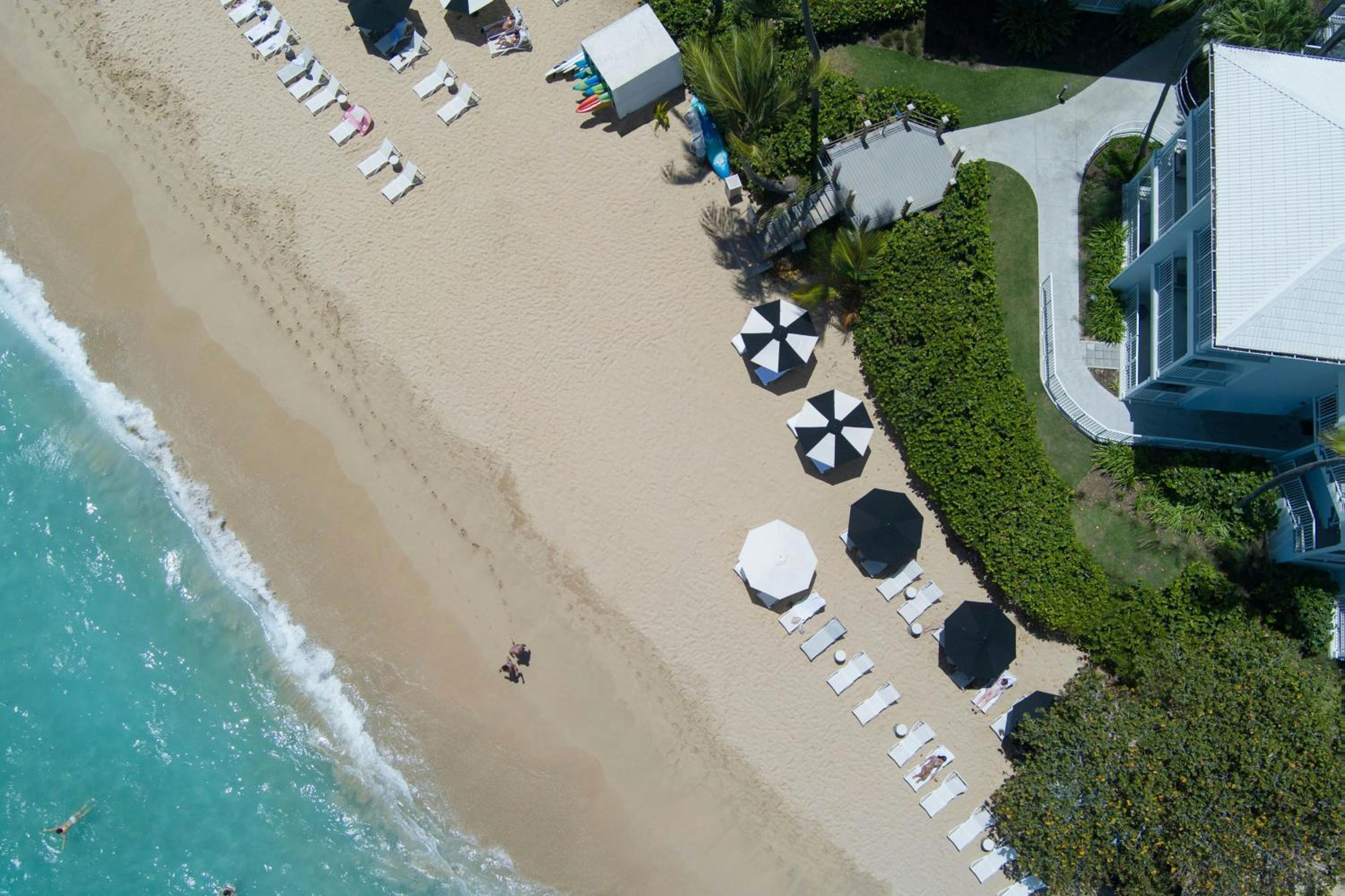 1 Bedroom Suite, 1 King, Sofa bed, Ocean view, Balcony (Mobility Accessible w/ Roll-in Shower)