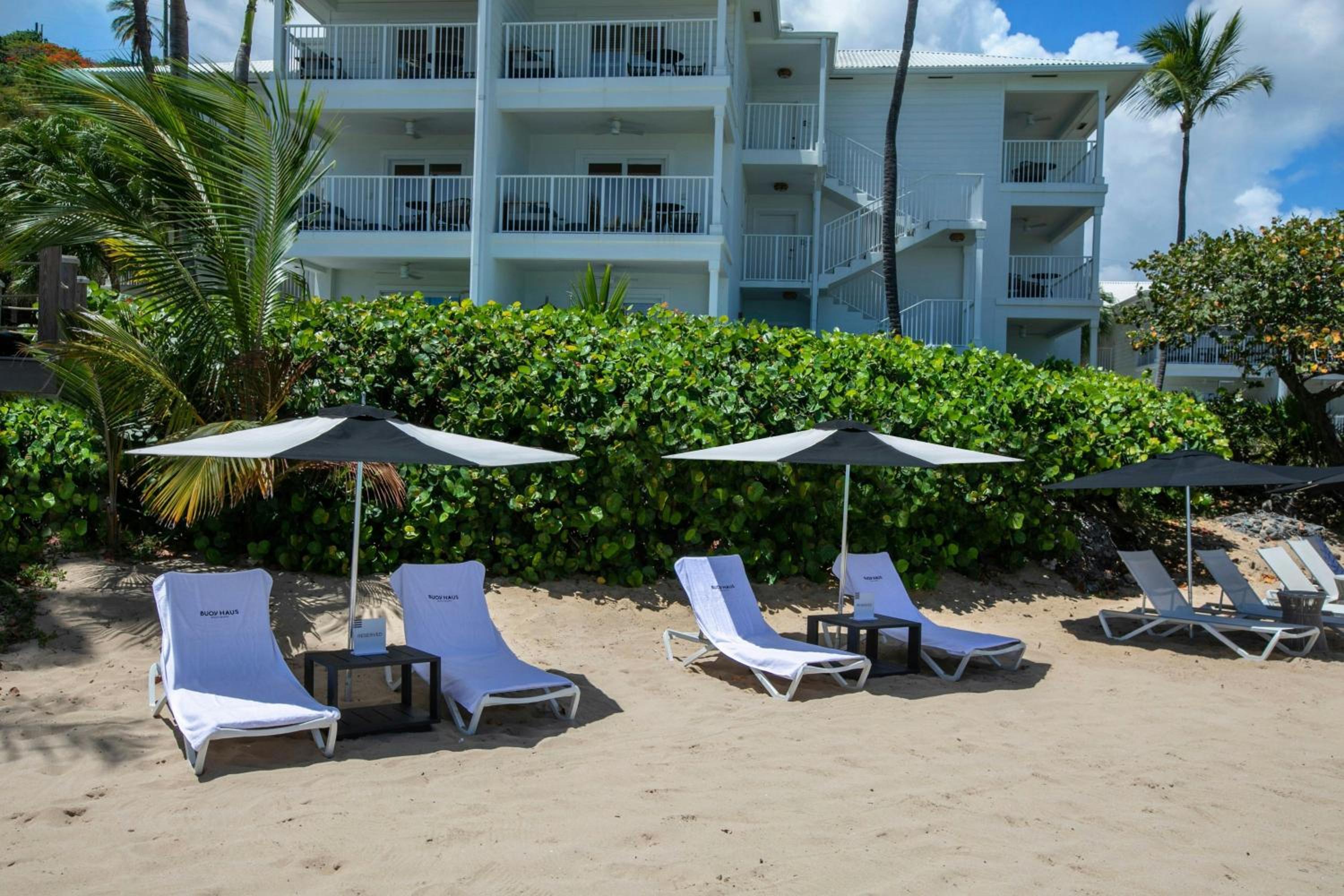 1 Bedroom Suite, 1 King, Sofa bed, Ocean view, Balcony (Mobility Accessible w/ Roll-in Shower)