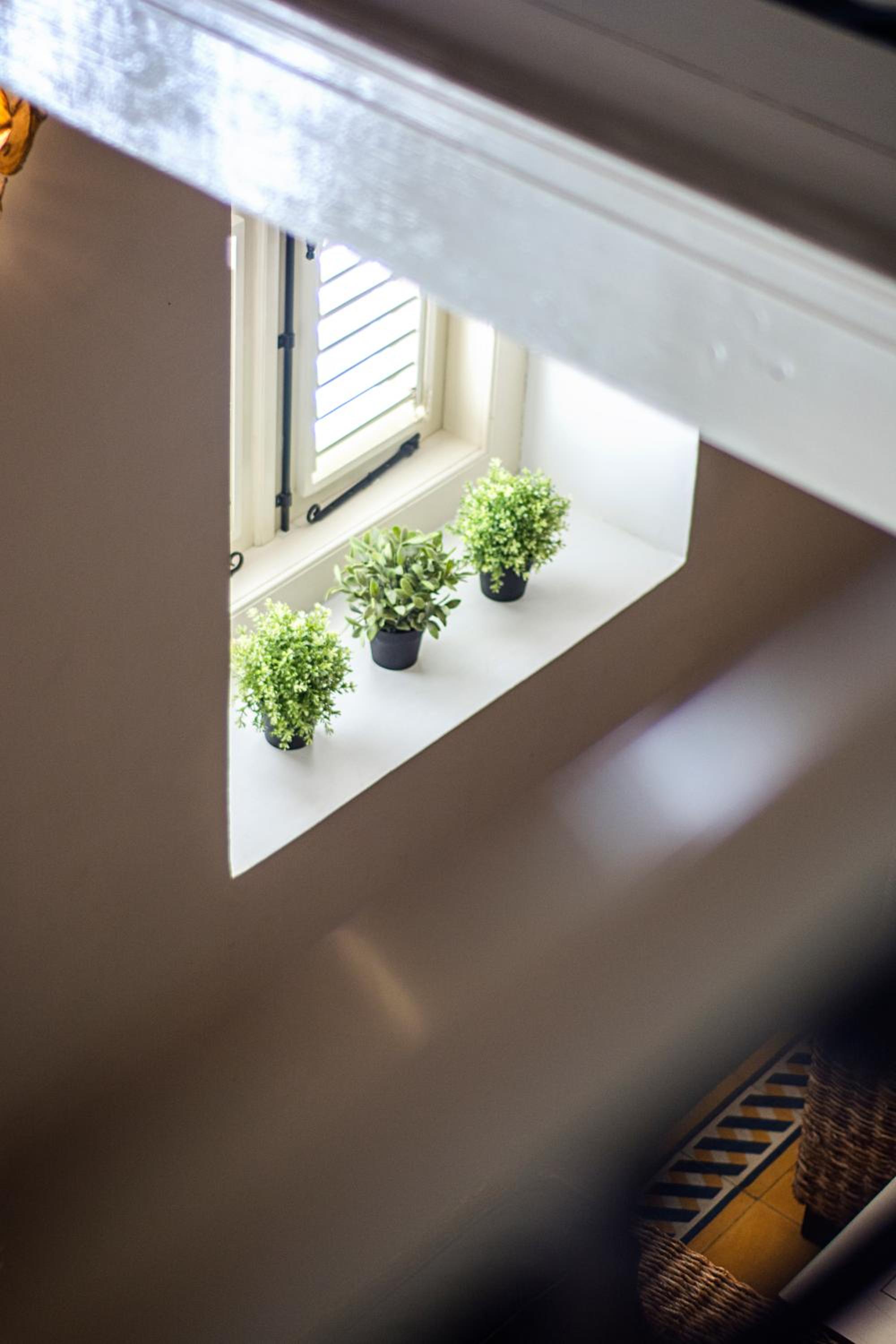 Pietermaai Split-Level Suite - Photo 7