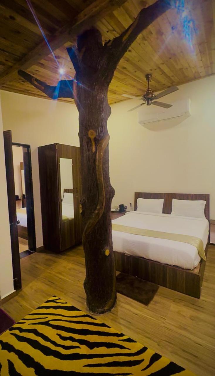 Suite photo 1