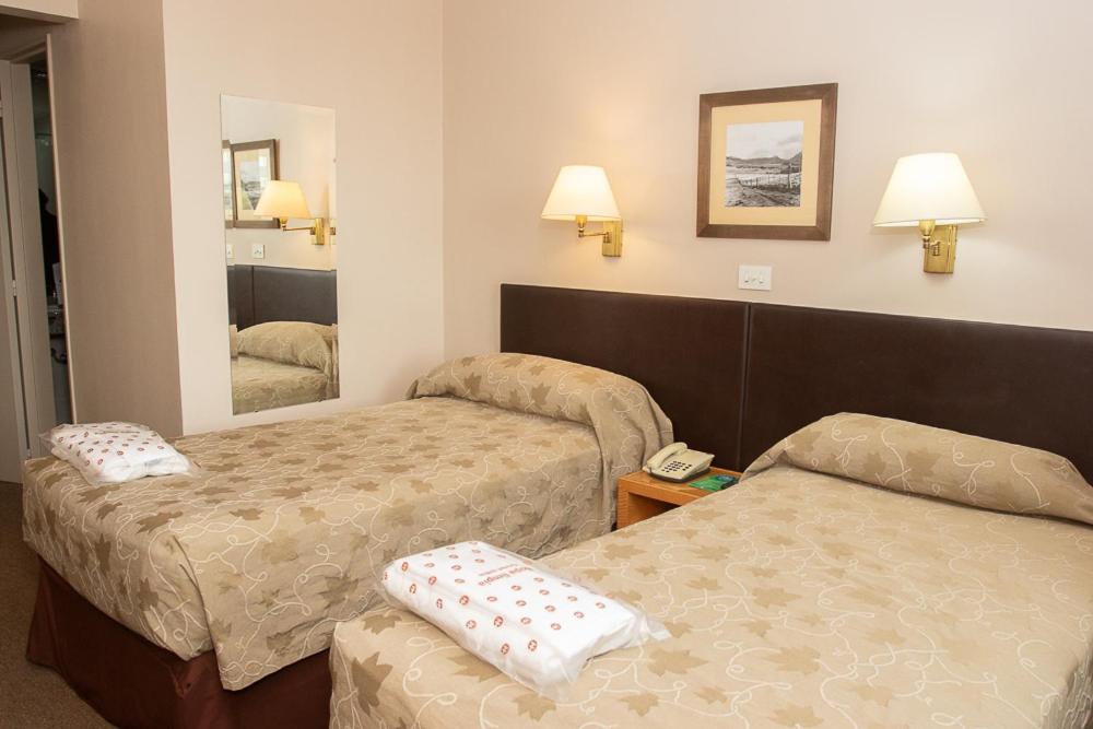 Superior Twin Room photo 1