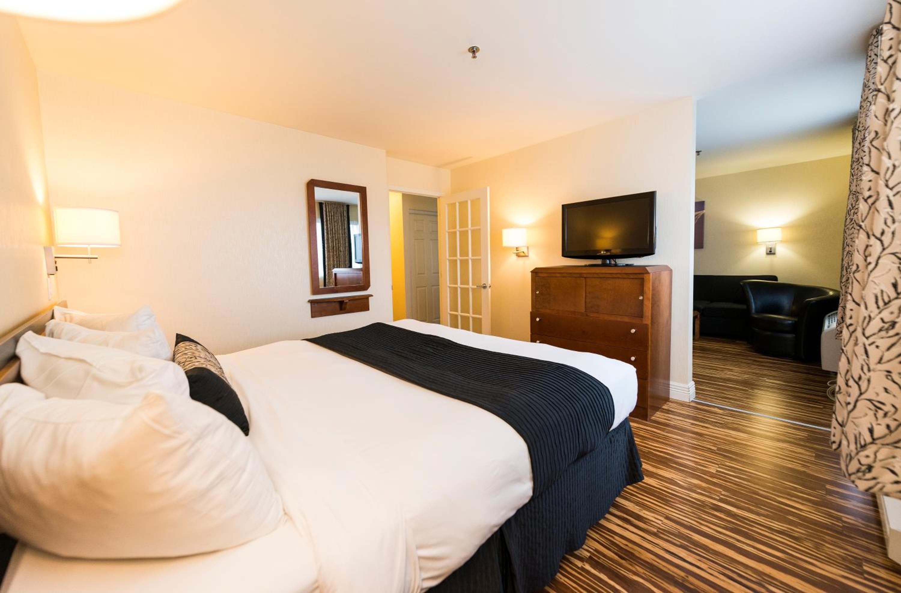 King Suite (2 Adults)